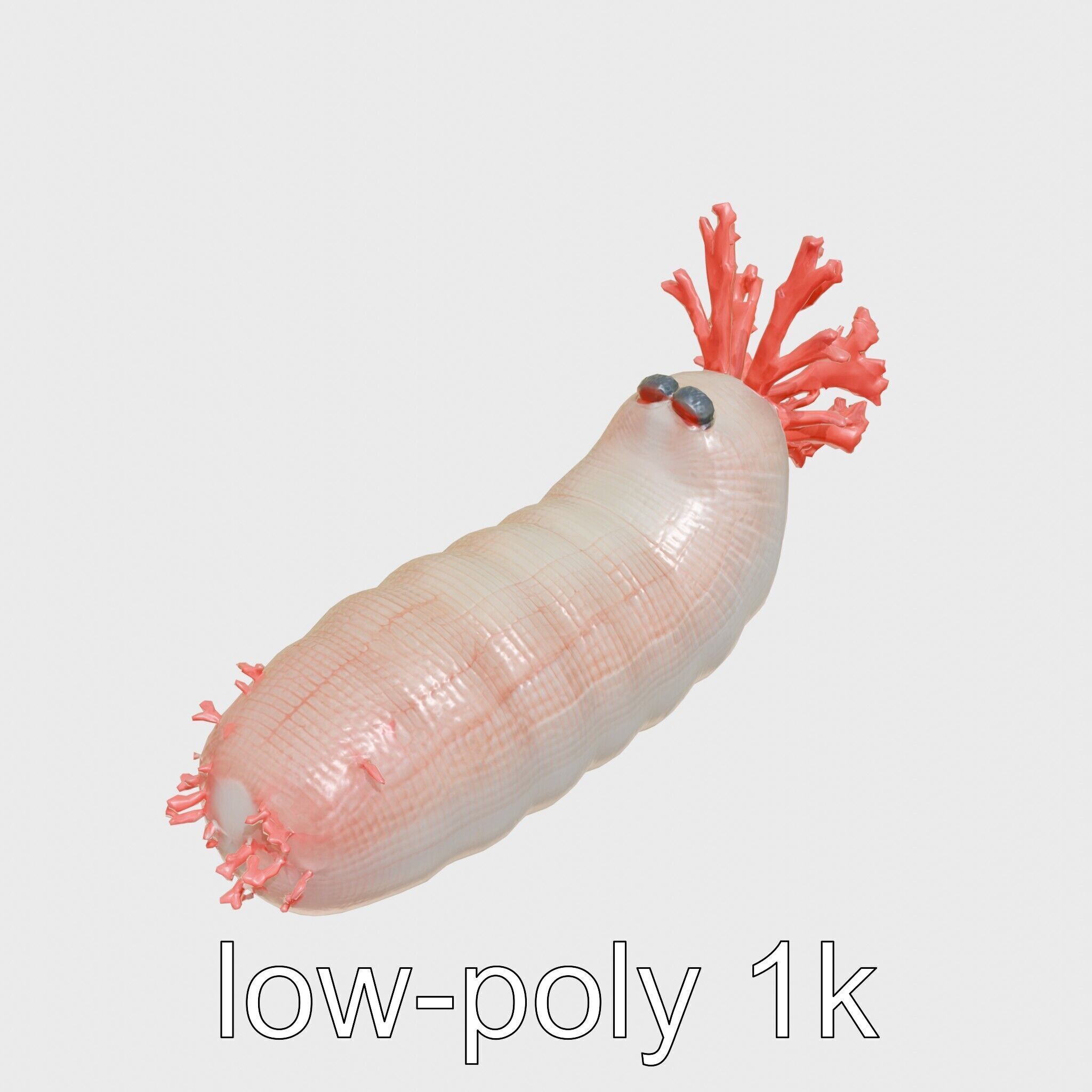 Giant Tube Worm with Red Plume and Bacteria Model Low-poly 3D model_9