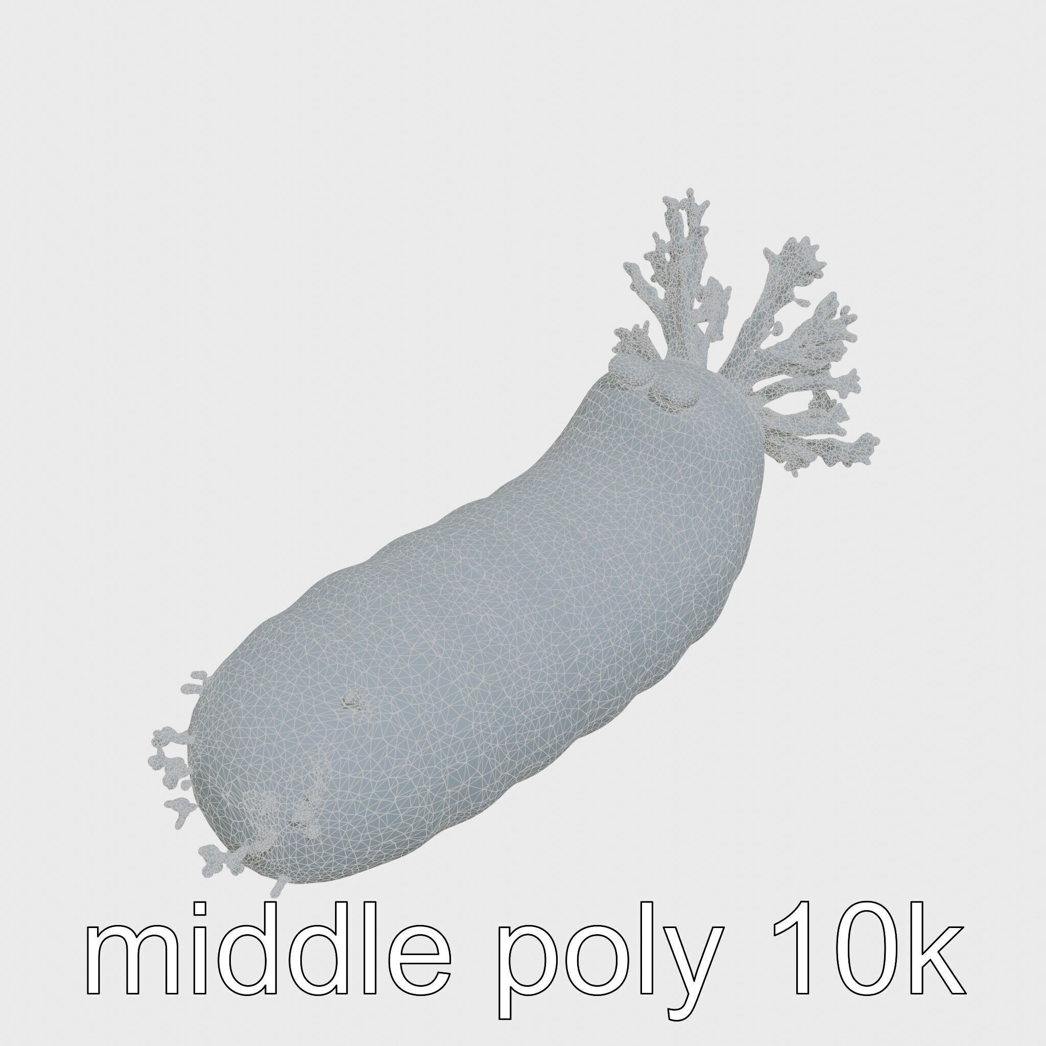 Giant Tube Worm with Red Plume and Bacteria Model Low-poly 3D model_20