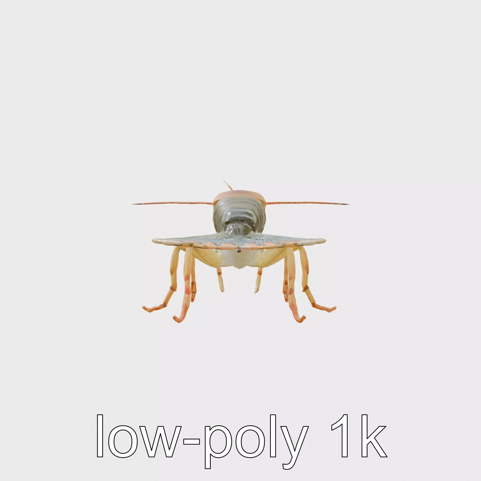 Peacock Mantis Shrimp Model with Iridescent Colors Low-poly 3D model_0