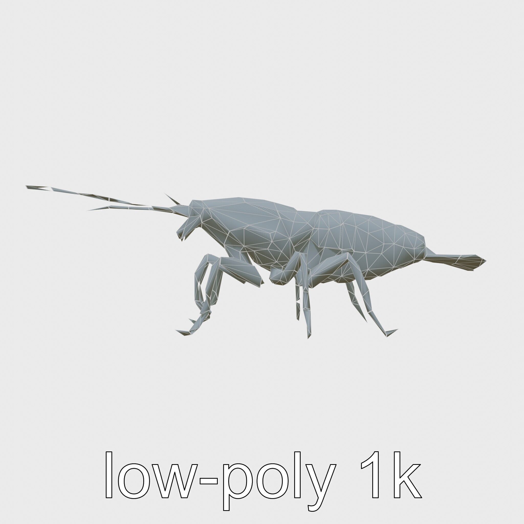 Peacock Mantis Shrimp Model with Iridescent Colors Low-poly 3D model_14