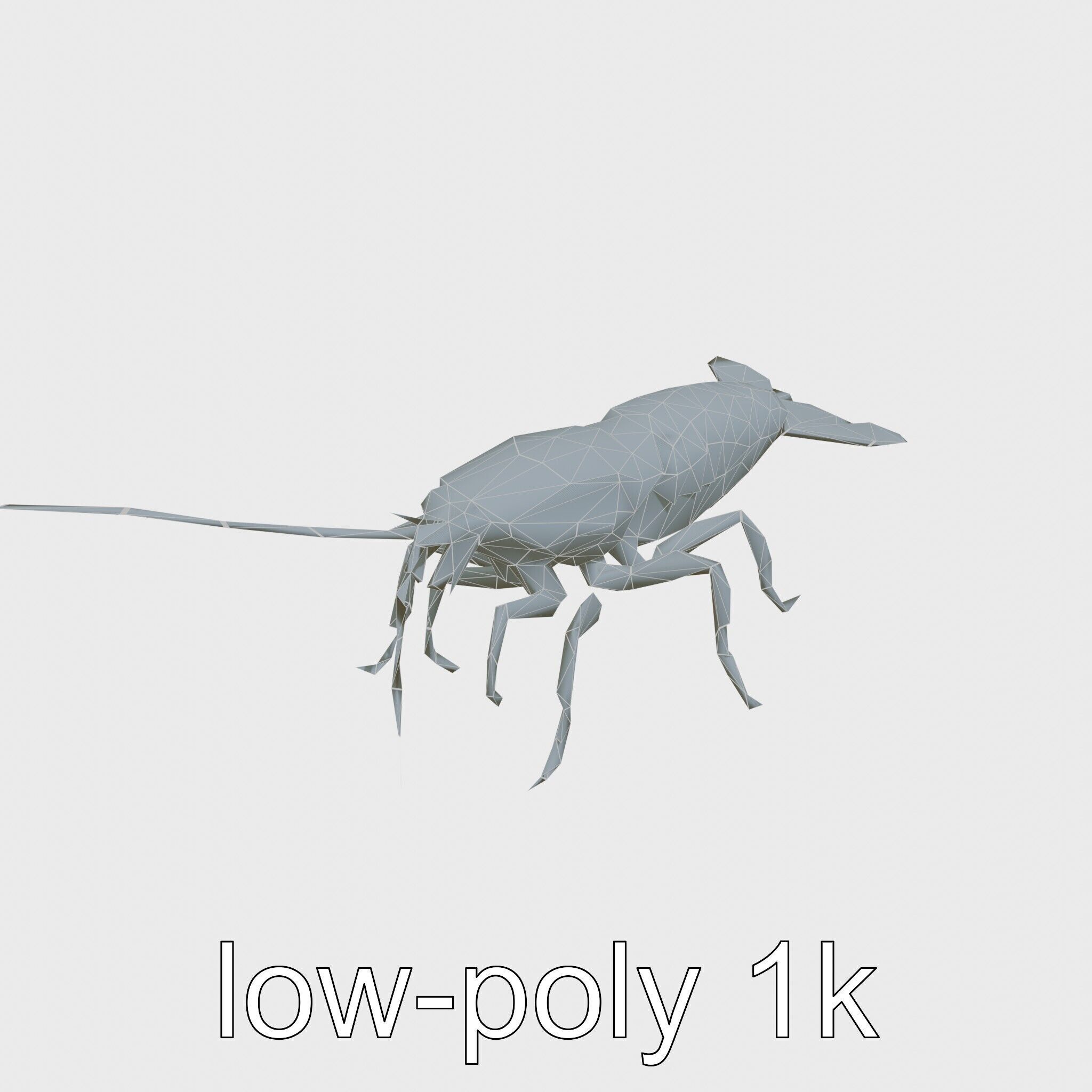 Peacock Mantis Shrimp Model with Iridescent Colors Low-poly 3D model_22