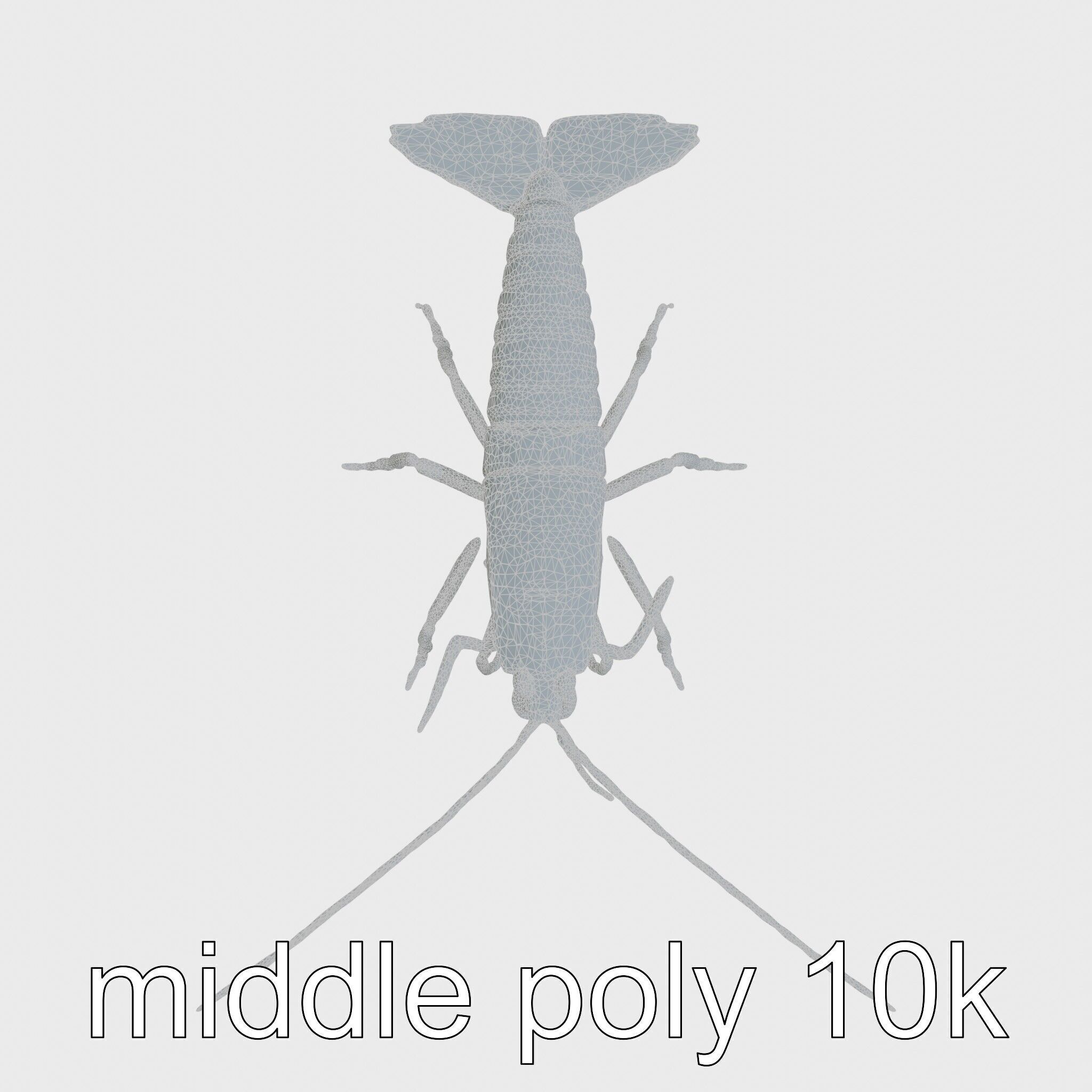 Peacock Mantis Shrimp Model with Iridescent Colors Low-poly 3D model_21