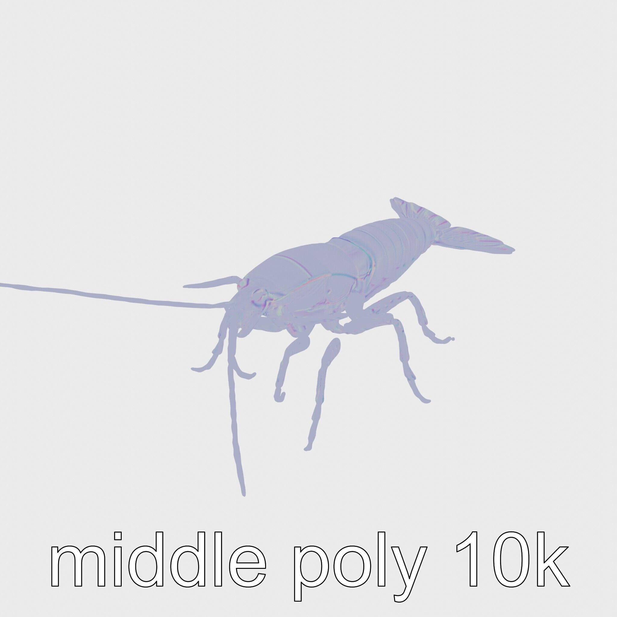 Peacock Mantis Shrimp Model with Iridescent Colors Low-poly 3D model_26