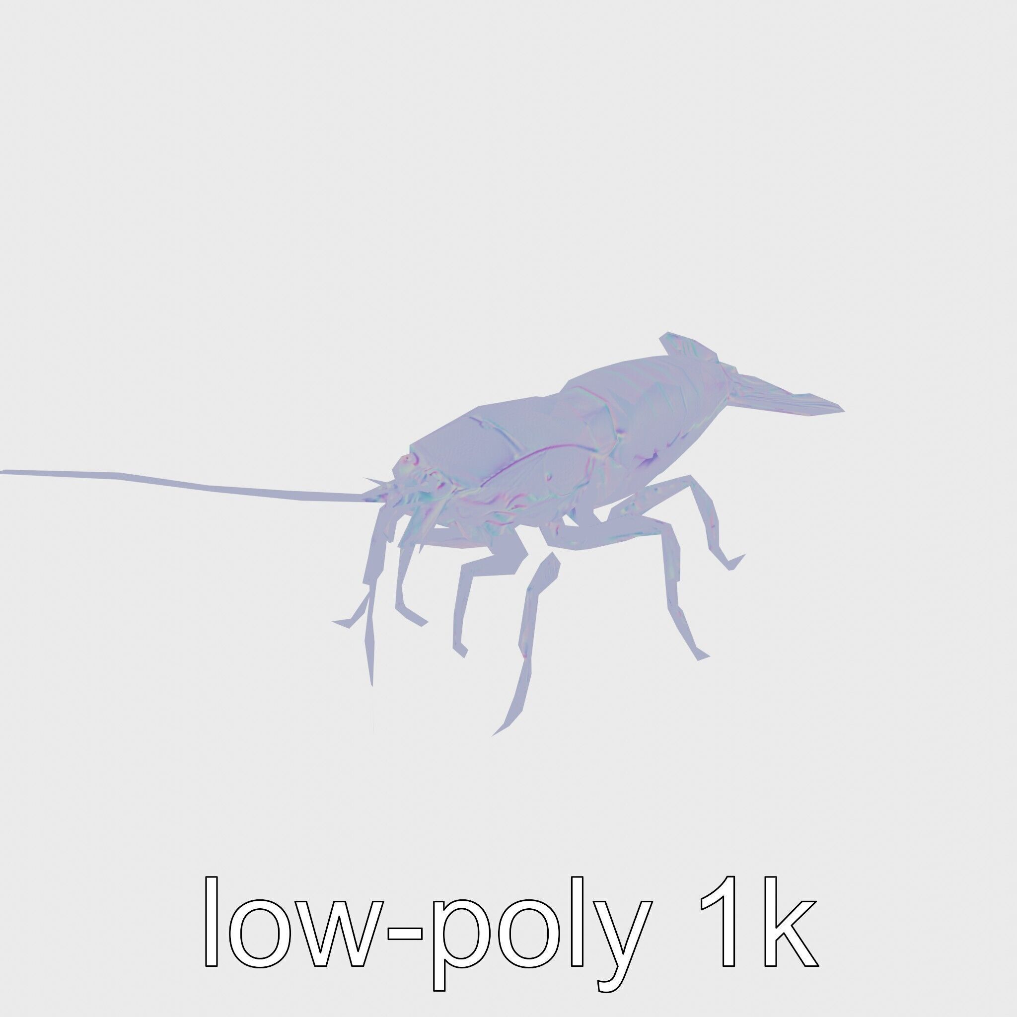 Peacock Mantis Shrimp Model with Iridescent Colors Low-poly 3D model_12