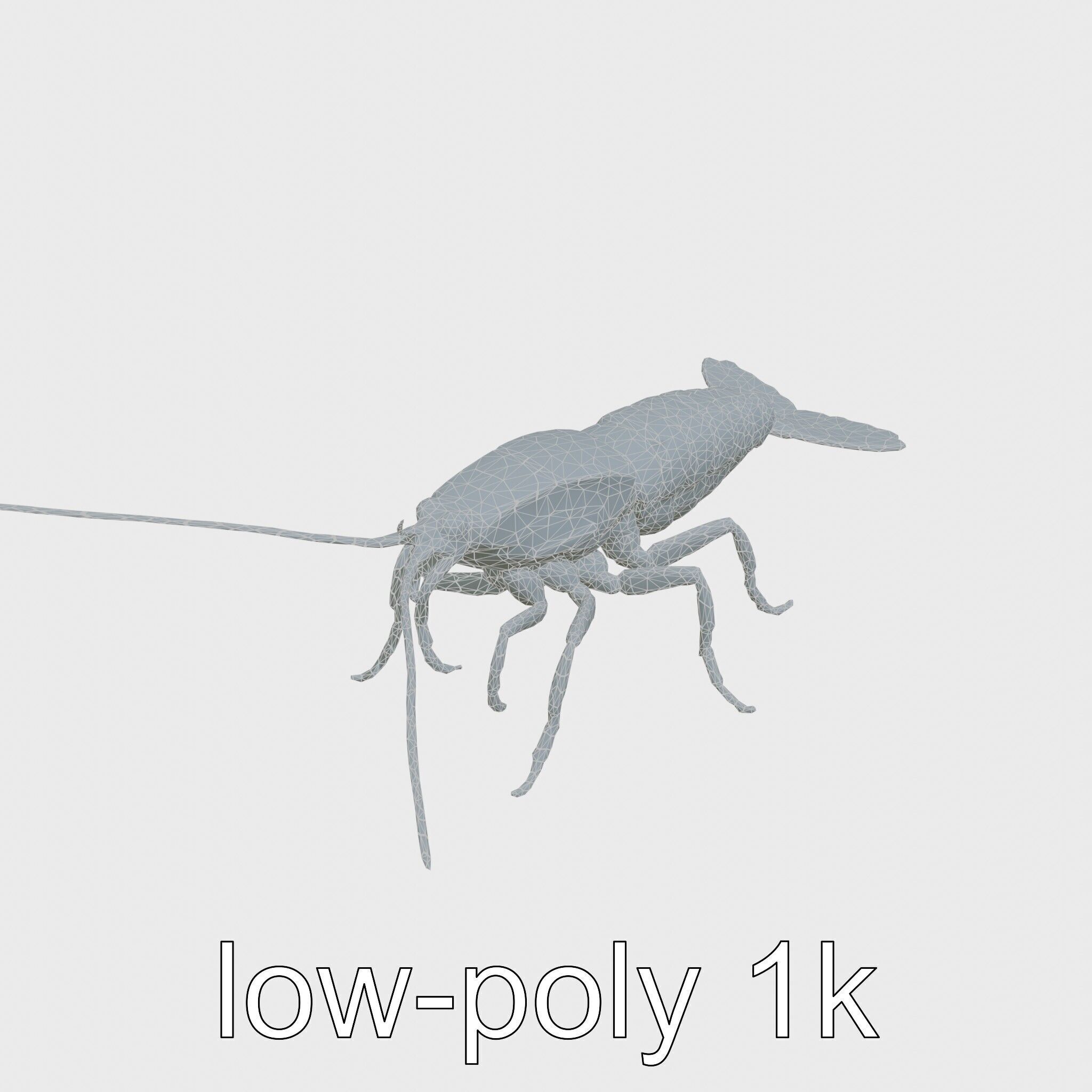 Peacock Mantis Shrimp Model with Iridescent Colors Low-poly 3D model_15