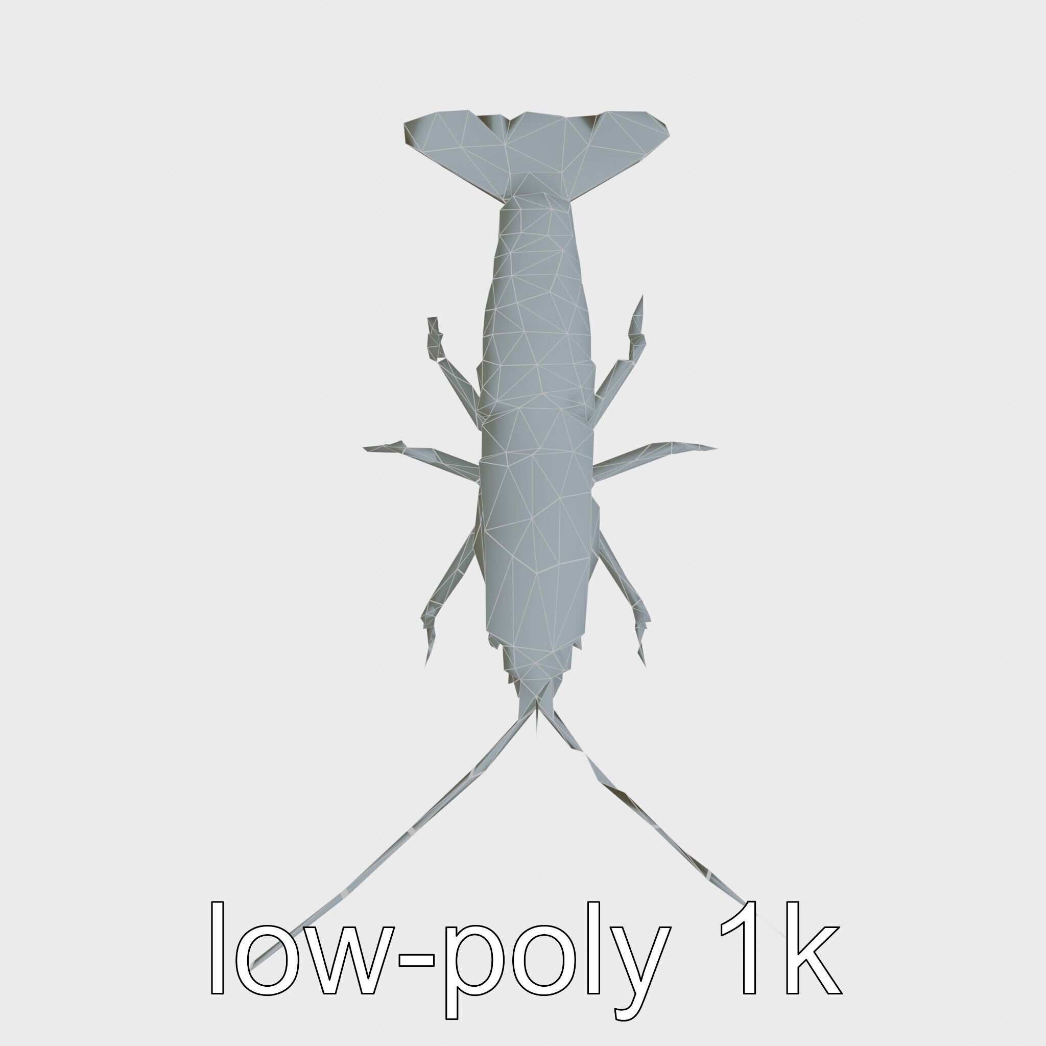 Peacock Mantis Shrimp Model with Iridescent Colors Low-poly 3D model_16