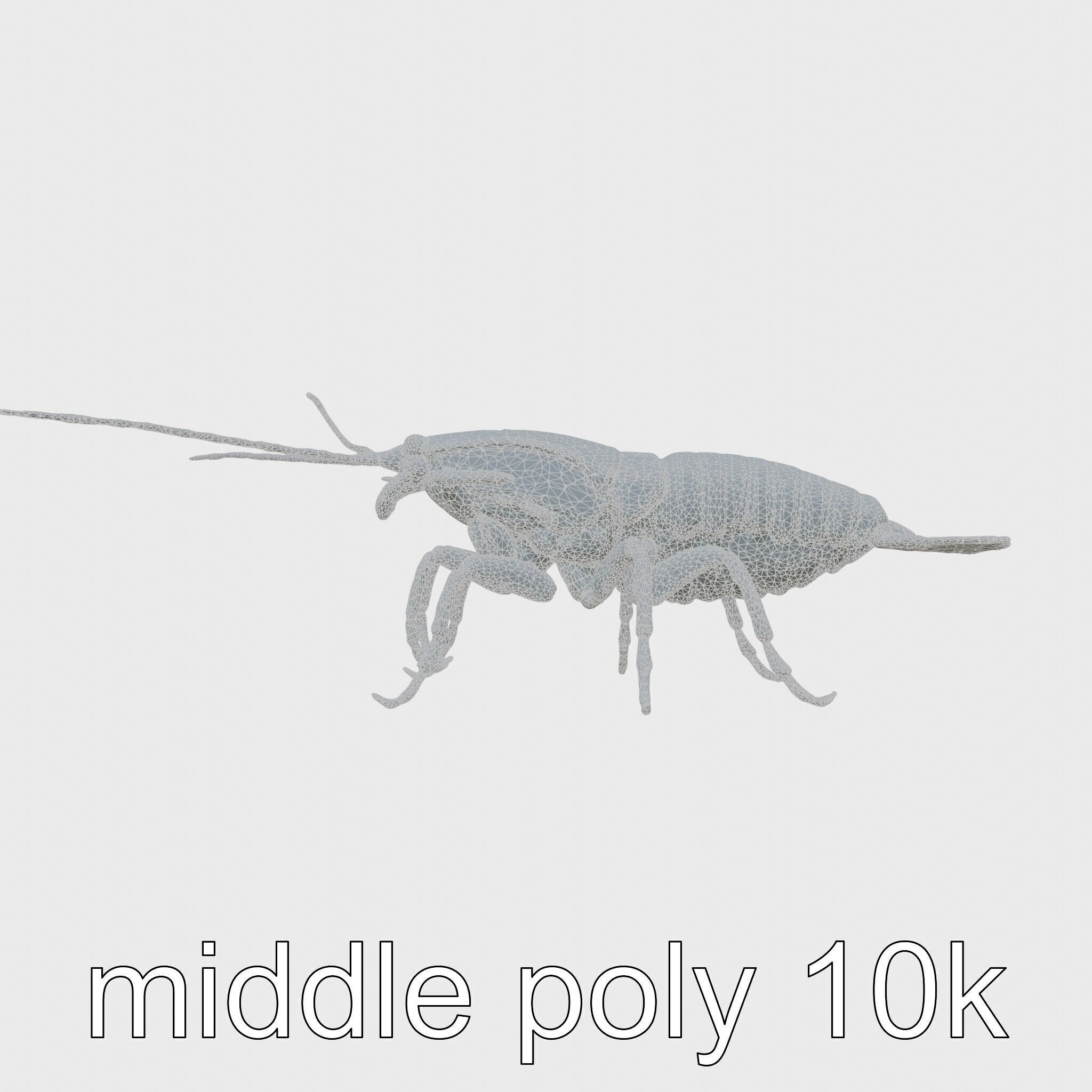 Peacock Mantis Shrimp Model with Iridescent Colors Low-poly 3D model_18