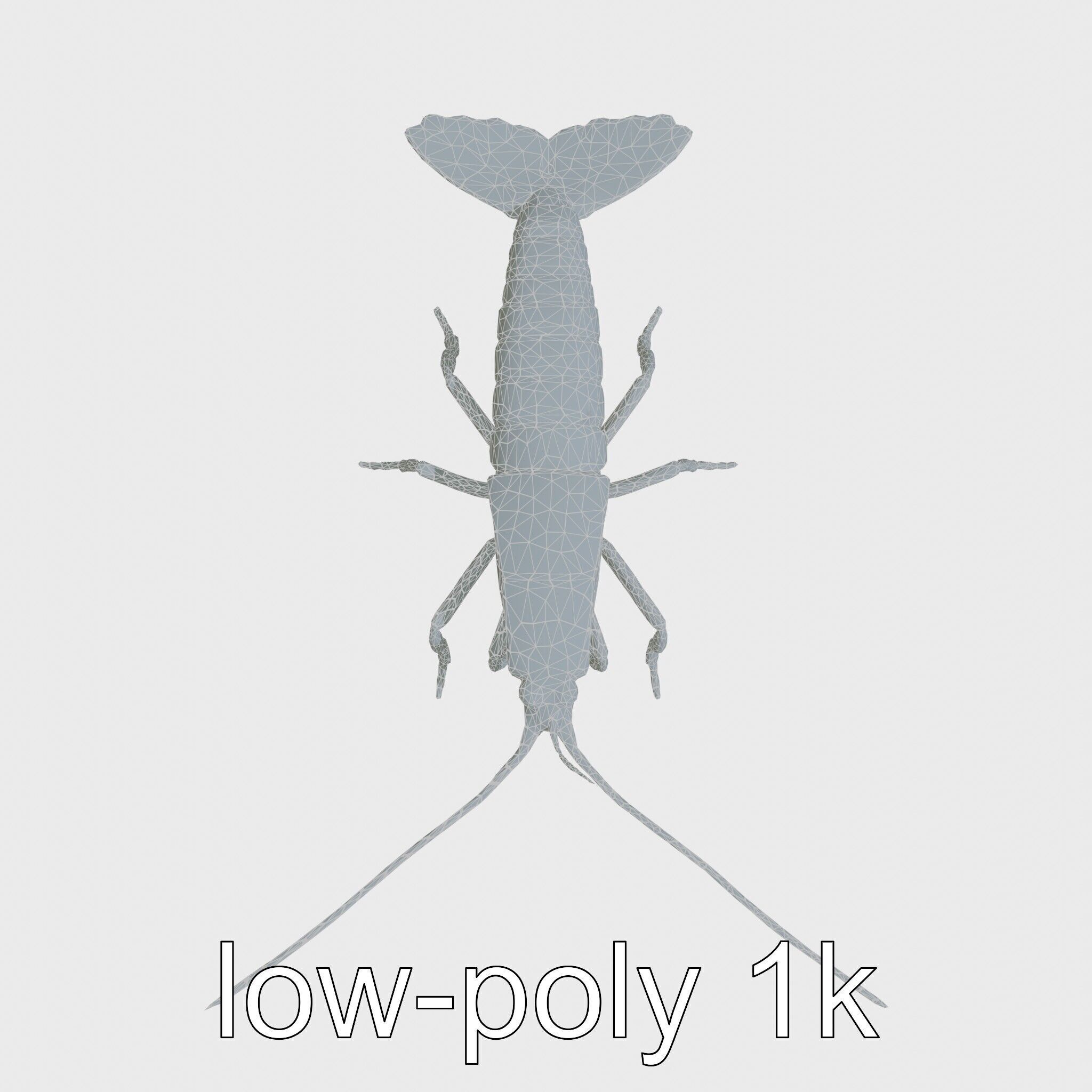 Peacock Mantis Shrimp Model with Iridescent Colors Low-poly 3D model_29