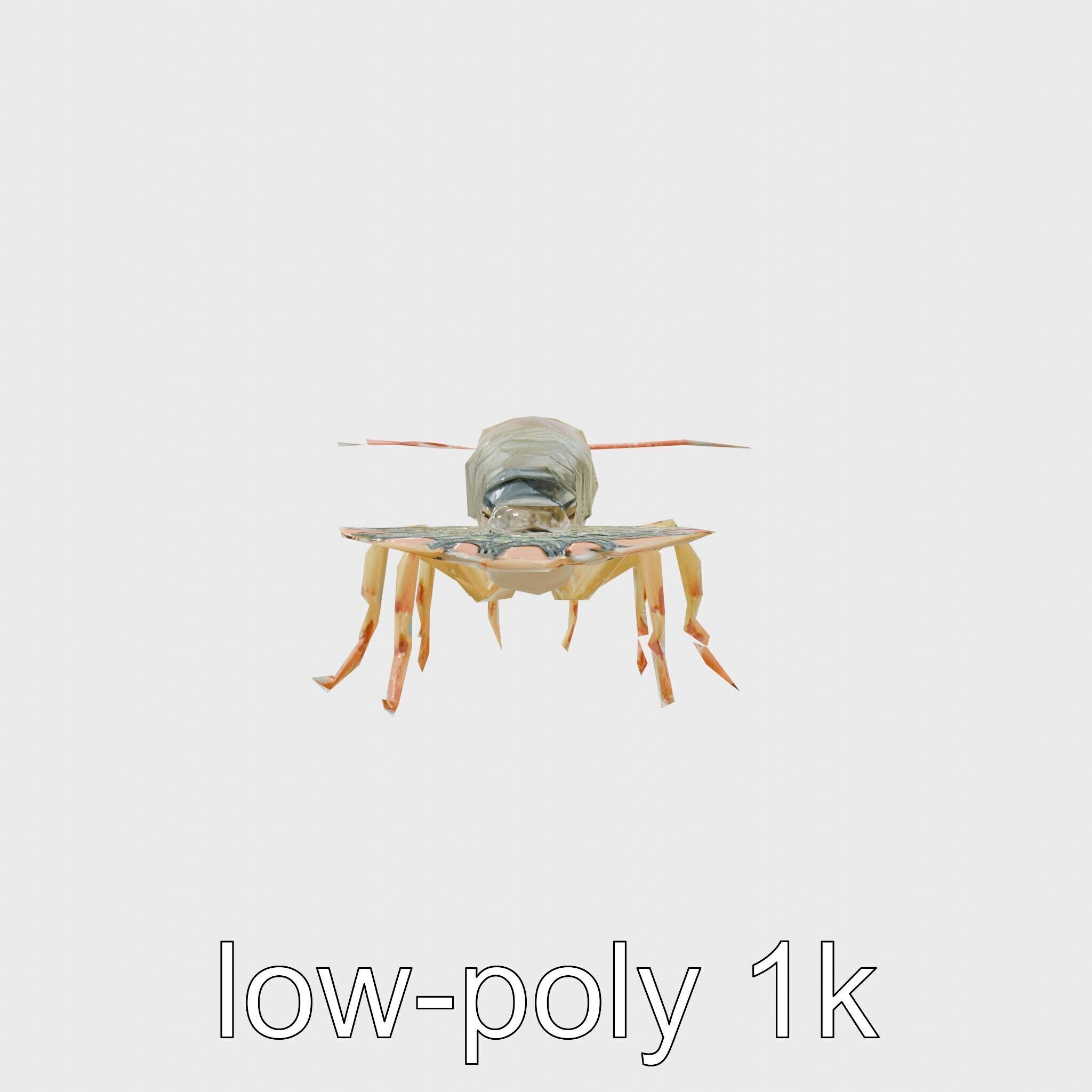 Peacock Mantis Shrimp Model with Iridescent Colors Low-poly 3D model_4