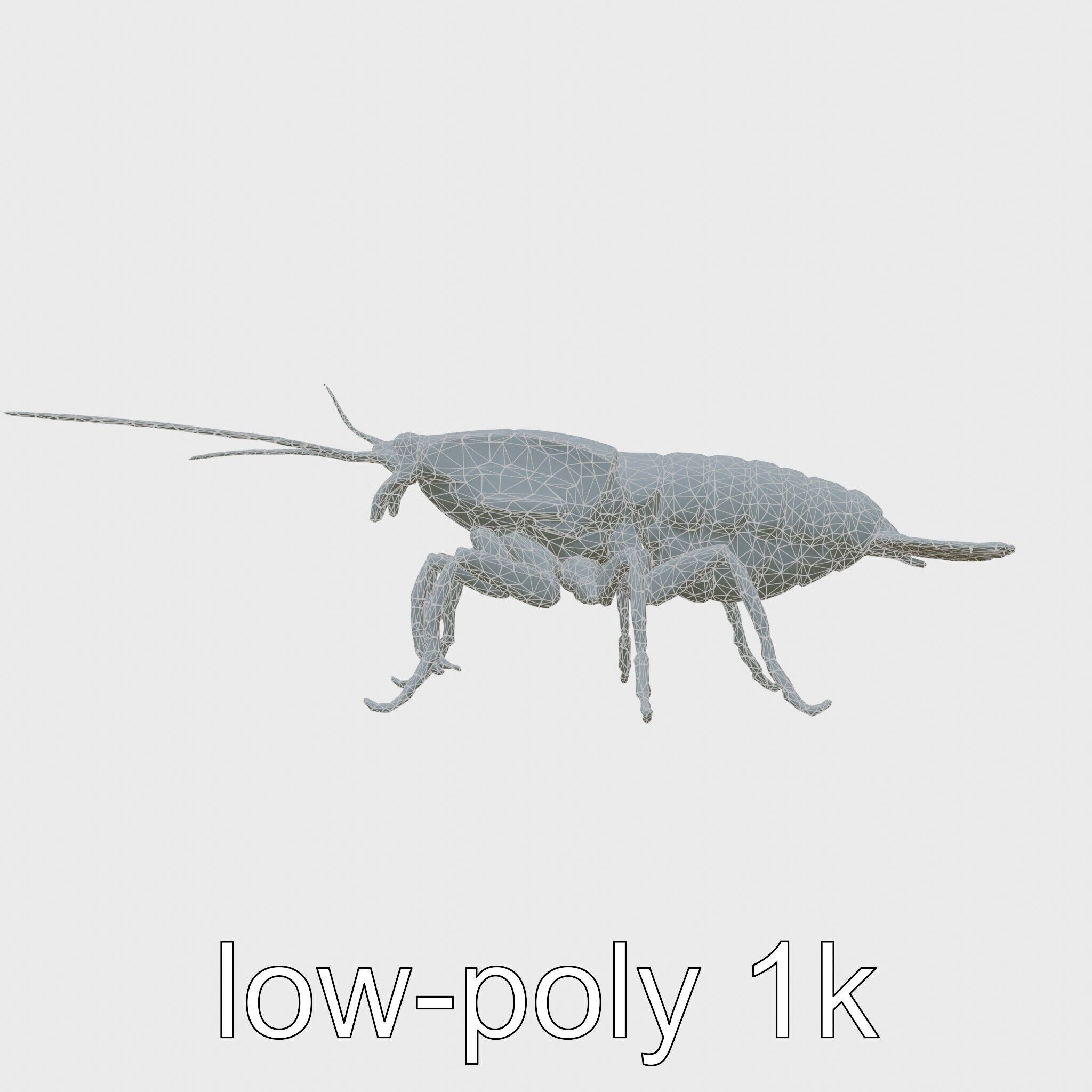 Peacock Mantis Shrimp Model with Iridescent Colors Low-poly 3D model_27