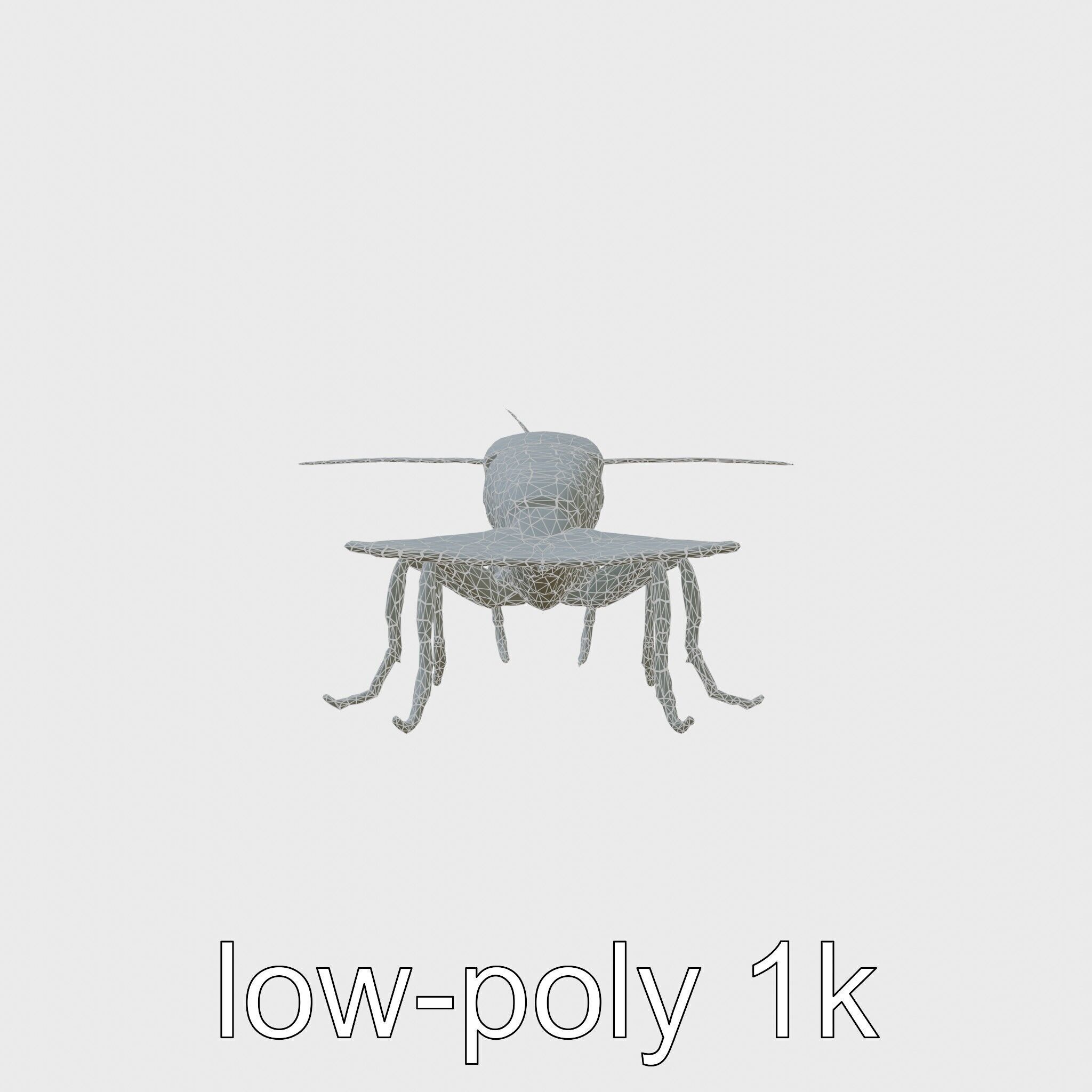 Peacock Mantis Shrimp Model with Iridescent Colors Low-poly 3D model_6