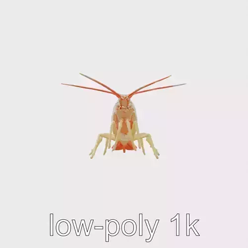 Boxer Shrimp Realistic 3D Model with Cleaning Habits