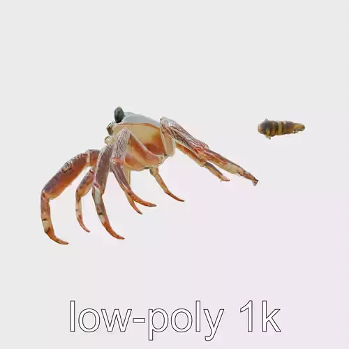 Yeti Crab Detailed Model with Hairy Arms