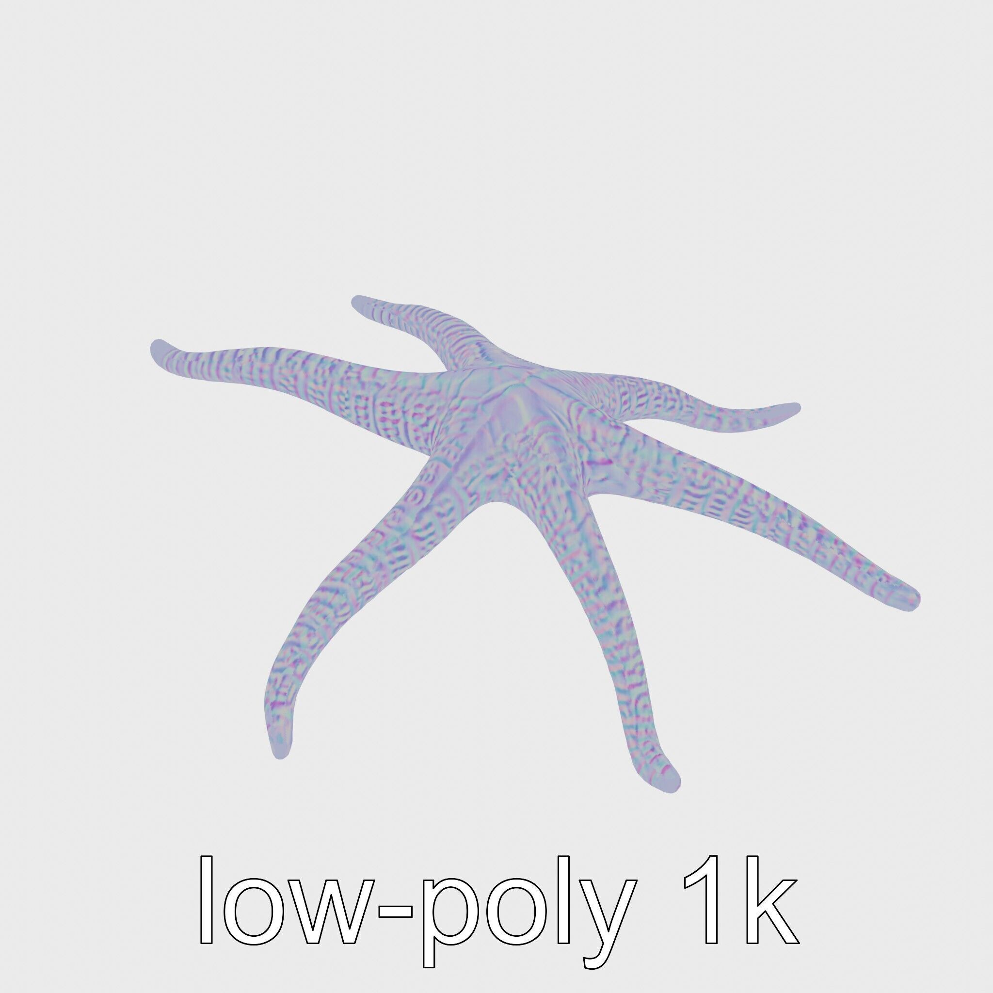Basket Star with Complex Branching Arms Model Low-poly 3D model_17