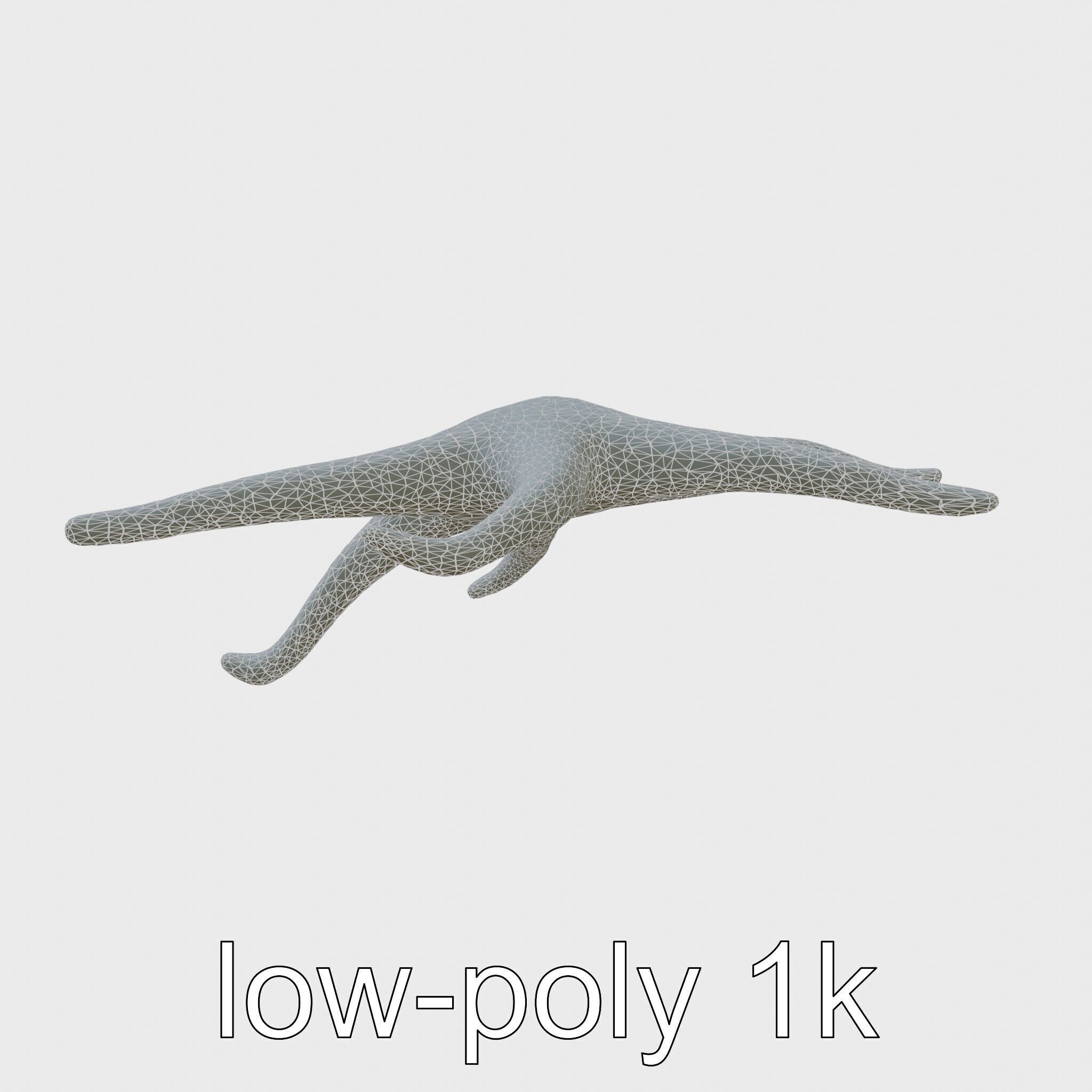 Basket Star with Complex Branching Arms Model Low-poly 3D model_24