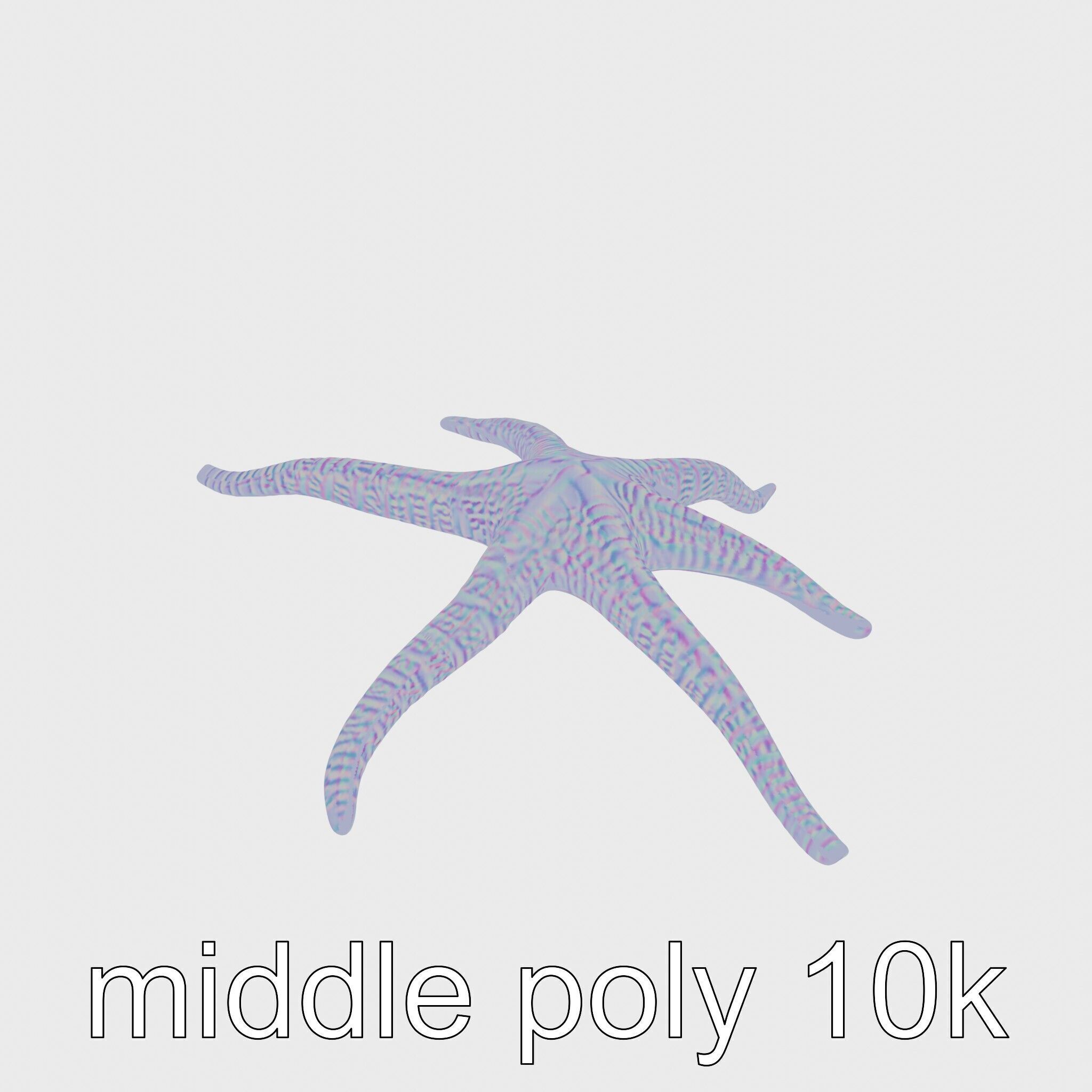 Basket Star with Complex Branching Arms Model Low-poly 3D model_14