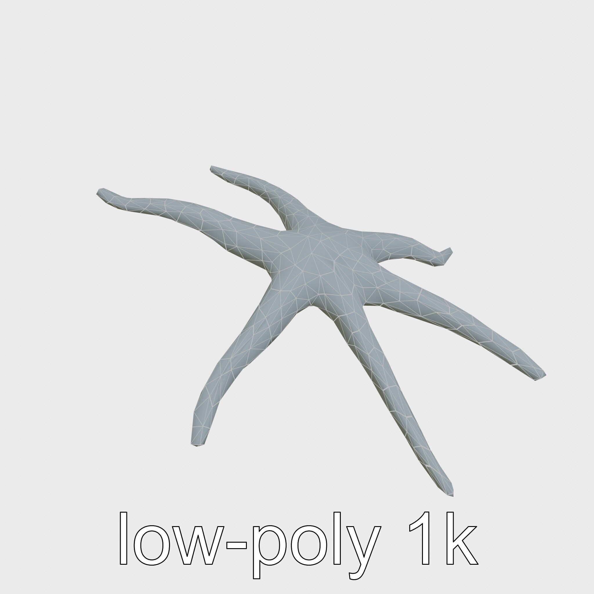 Basket Star with Complex Branching Arms Model Low-poly 3D model_28