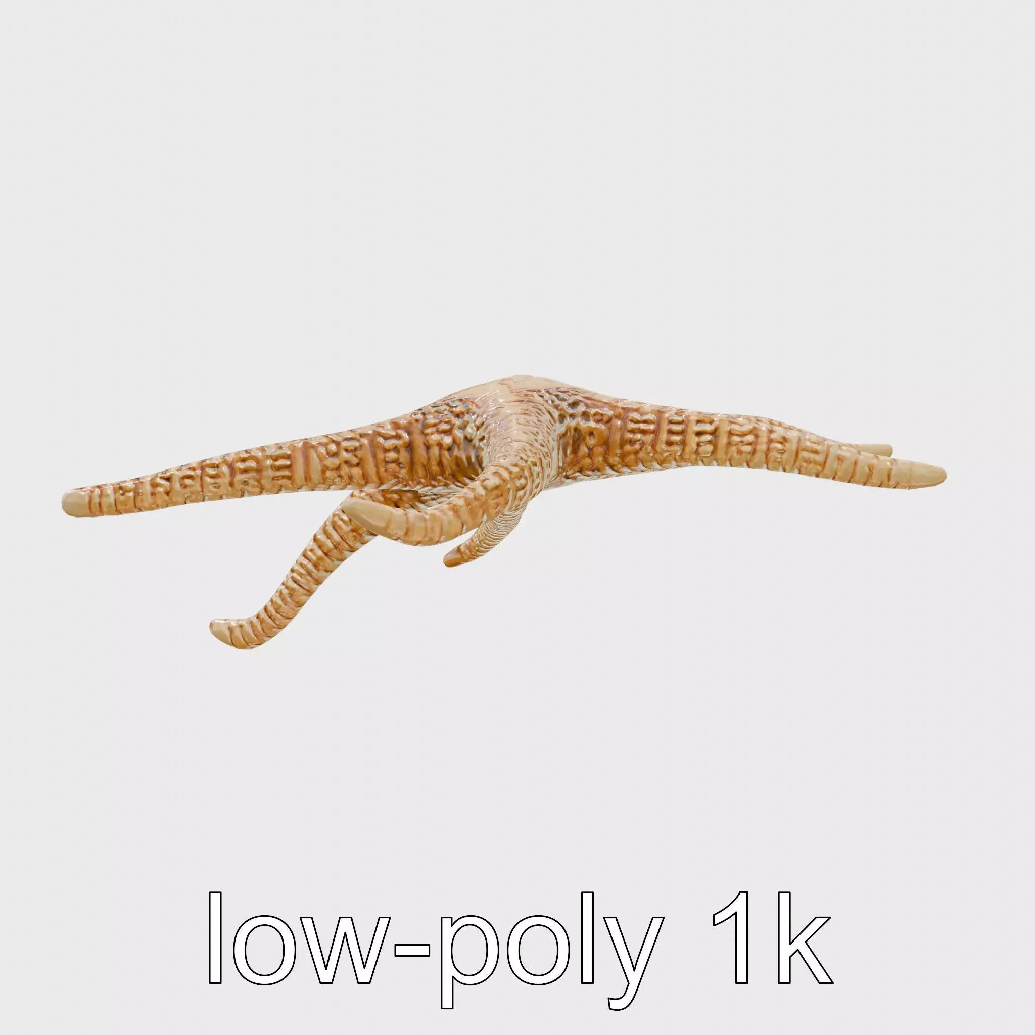 Basket Star with Complex Branching Arms Model Low-poly 3D model_0