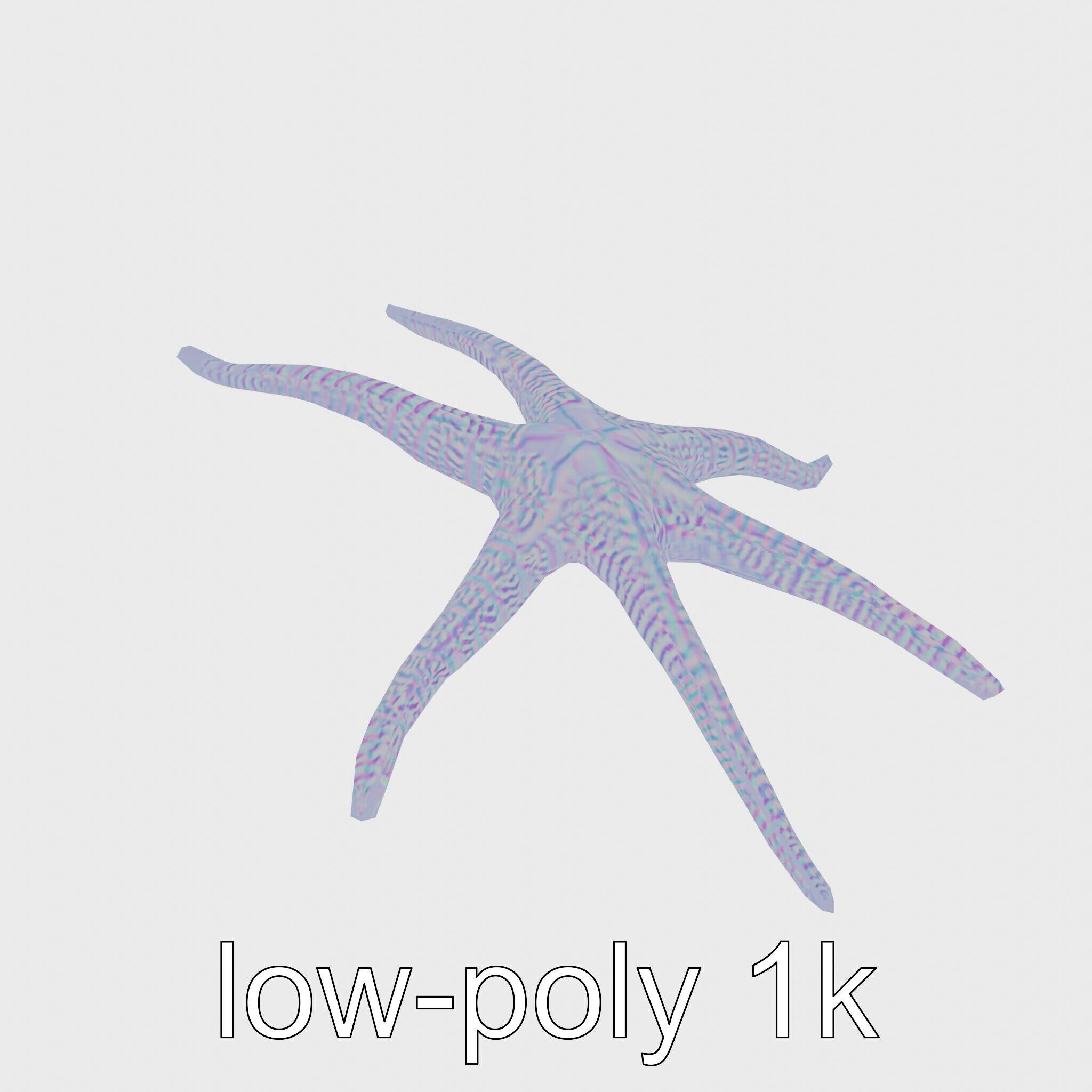 Basket Star with Complex Branching Arms Model Low-poly 3D model_16