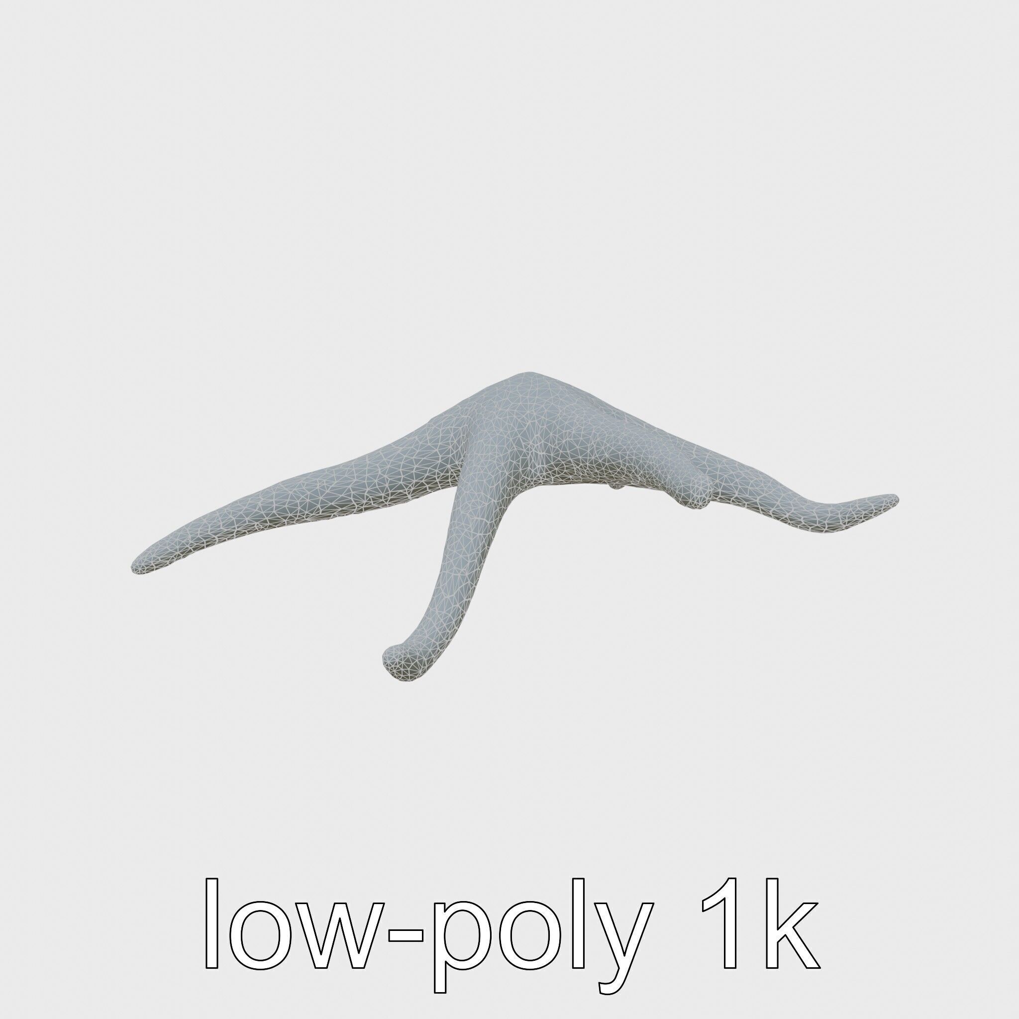 Basket Star with Complex Branching Arms Model Low-poly 3D model_9