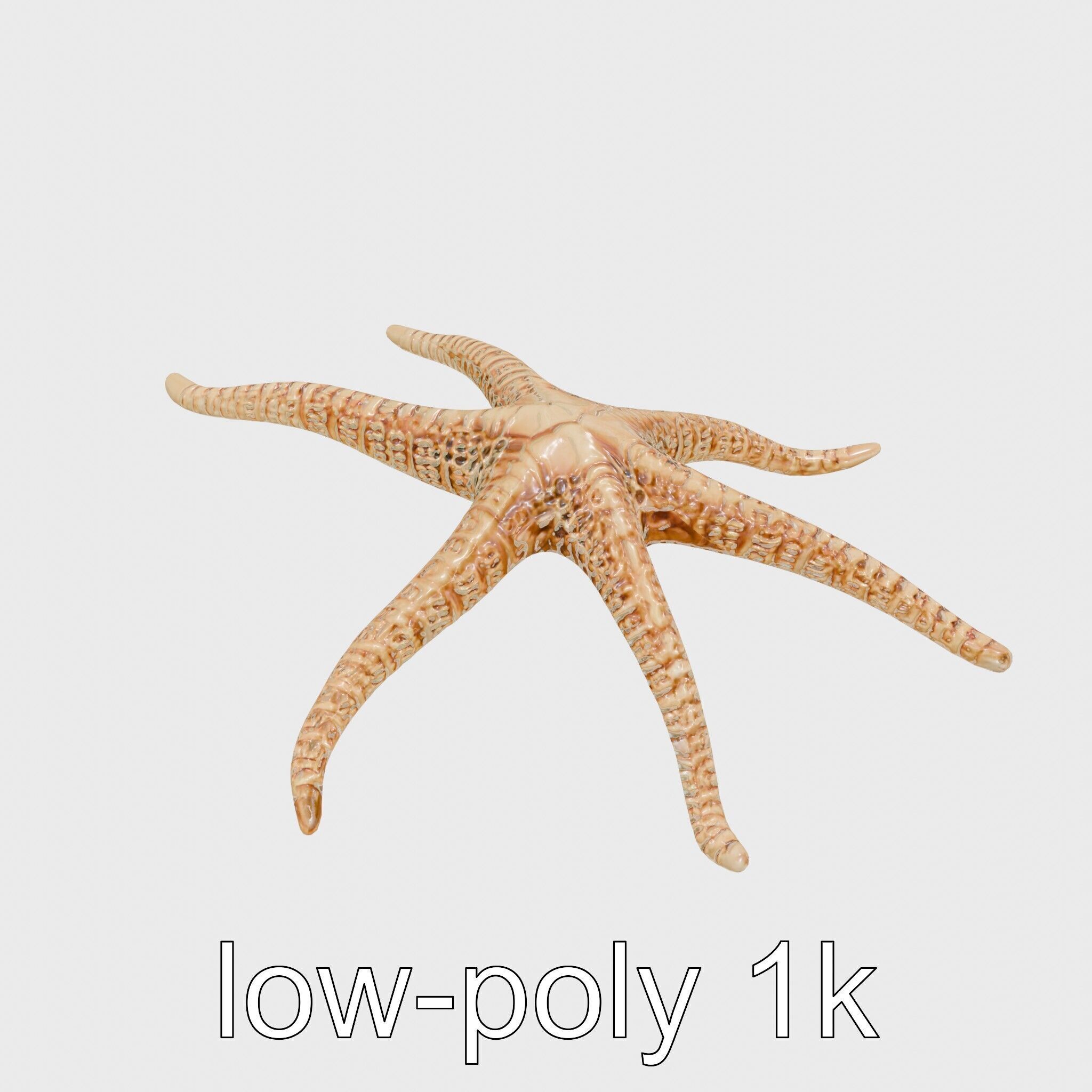 Basket Star with Complex Branching Arms Model Low-poly 3D model_23