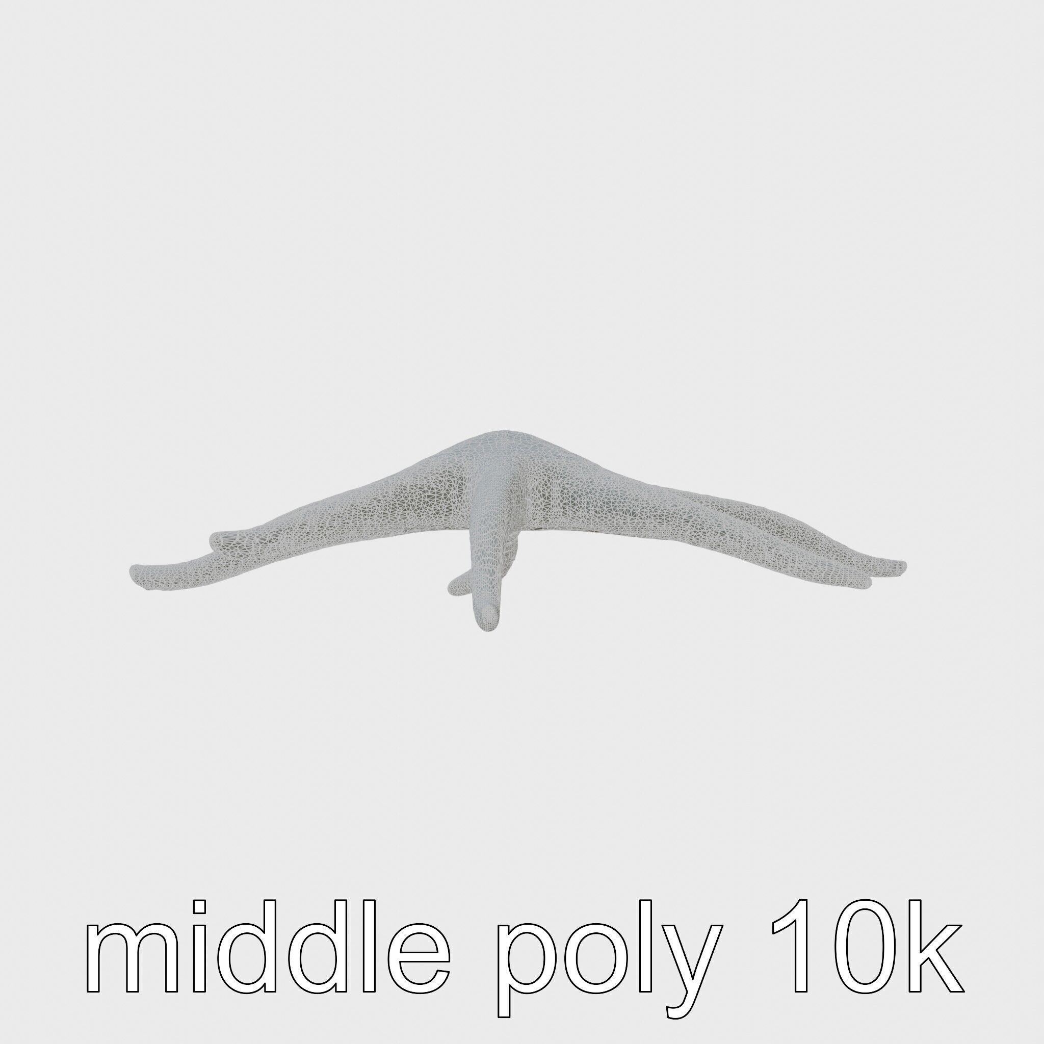 Basket Star with Complex Branching Arms Model Low-poly 3D model_5