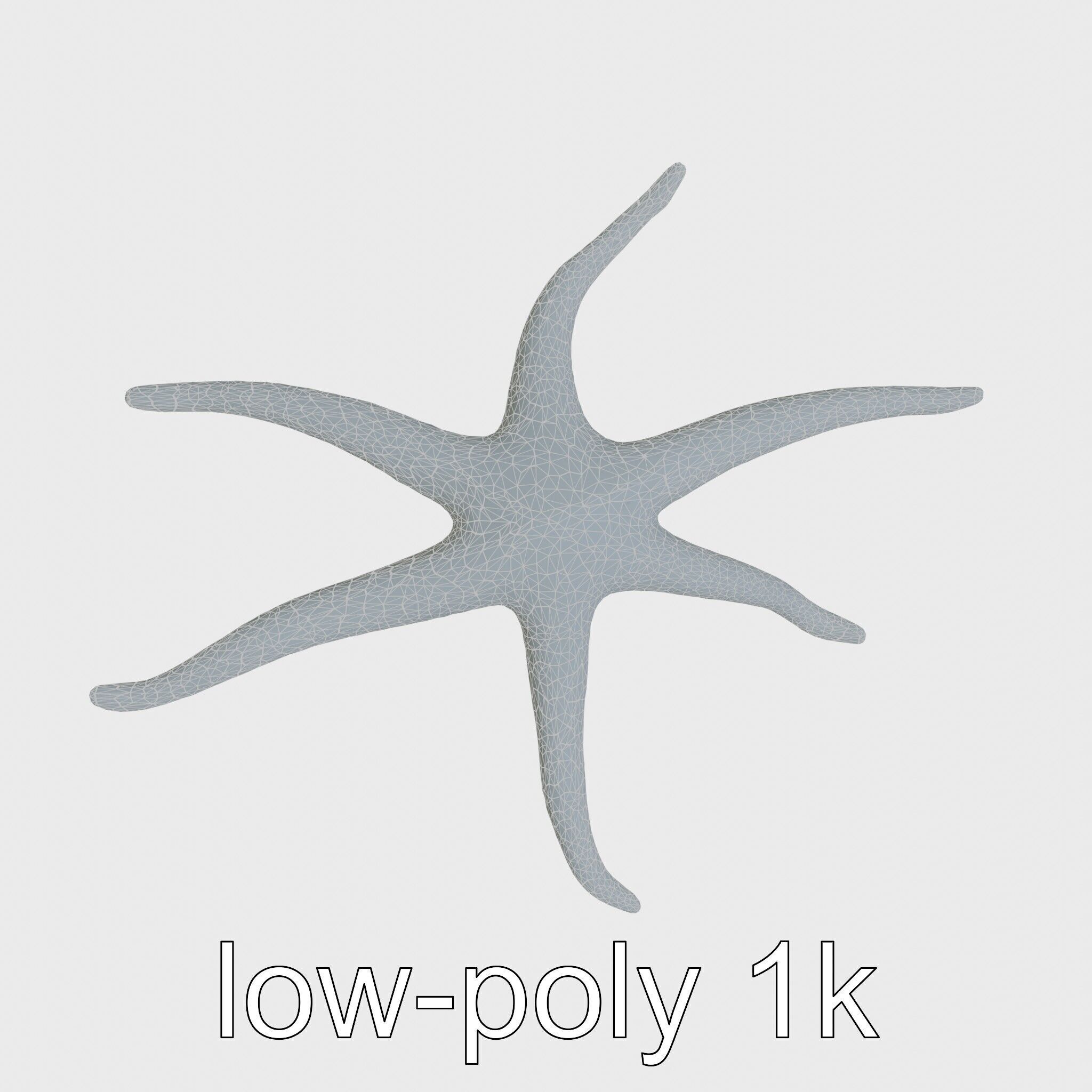 Basket Star with Complex Branching Arms Model Low-poly 3D model_19