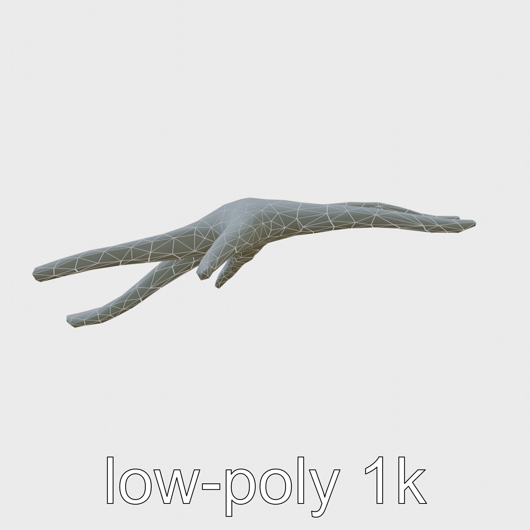 Basket Star with Complex Branching Arms Model Low-poly 3D model_7