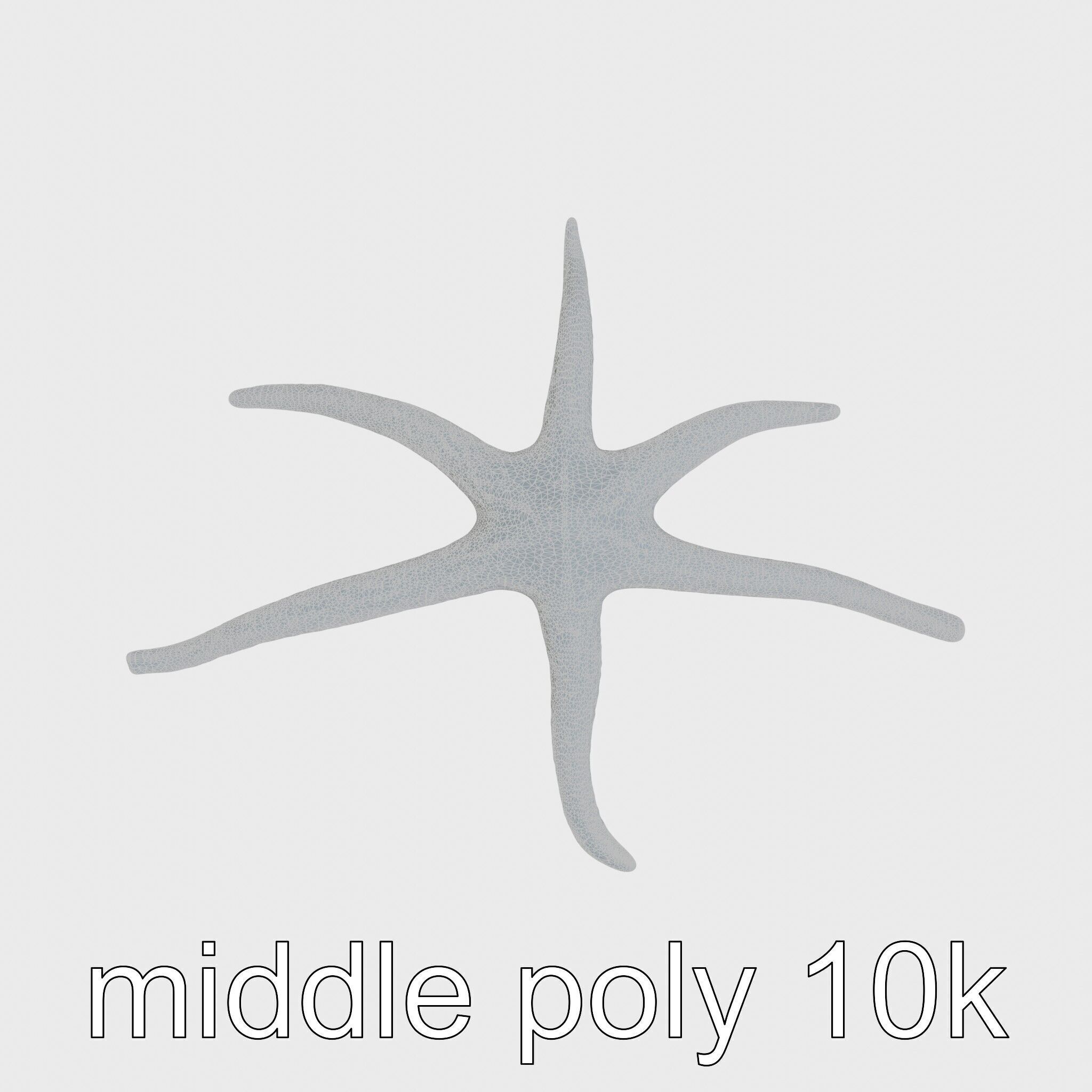 Basket Star with Complex Branching Arms Model Low-poly 3D model_13