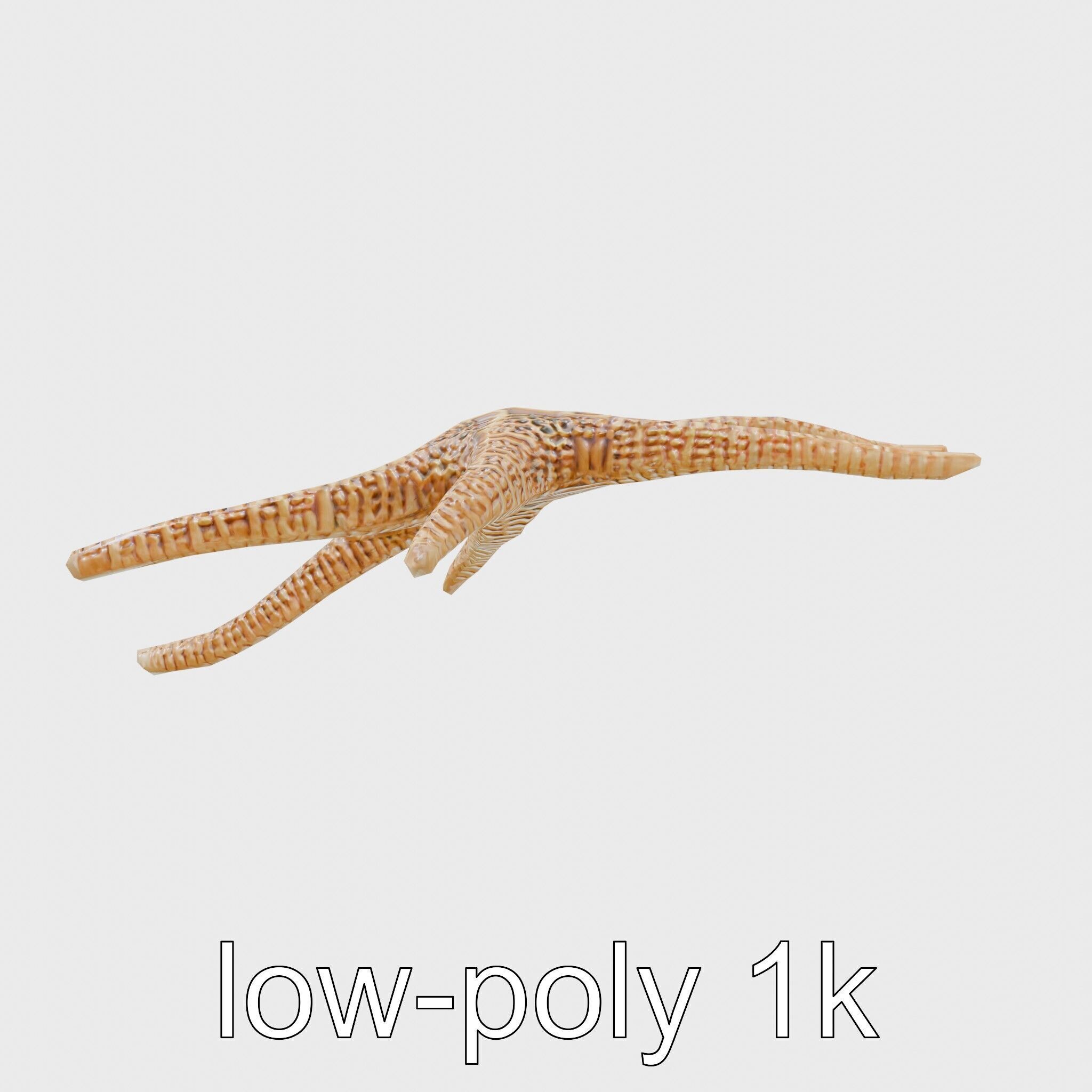 Basket Star with Complex Branching Arms Model Low-poly 3D model_4