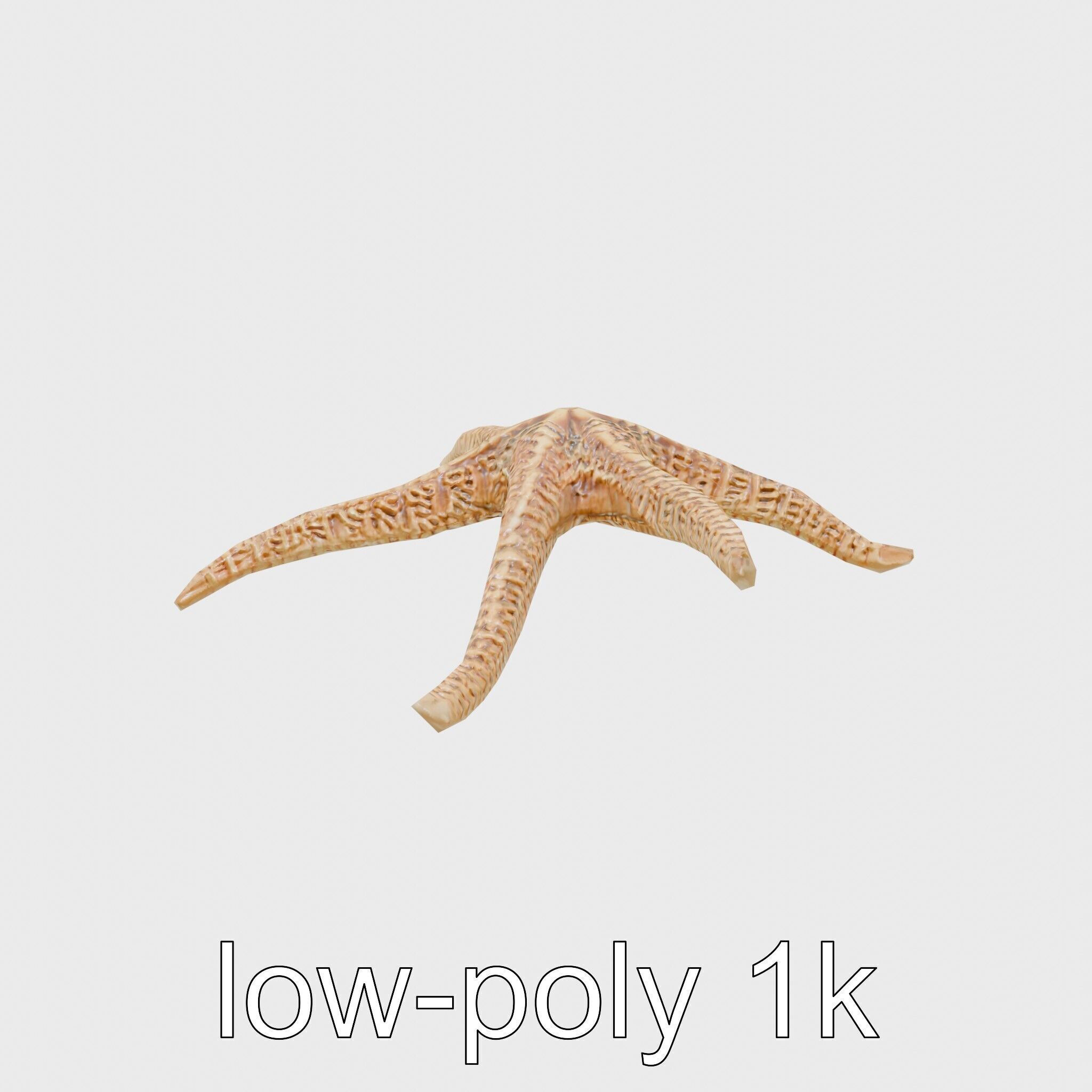 Basket Star with Complex Branching Arms Model Low-poly 3D model_18