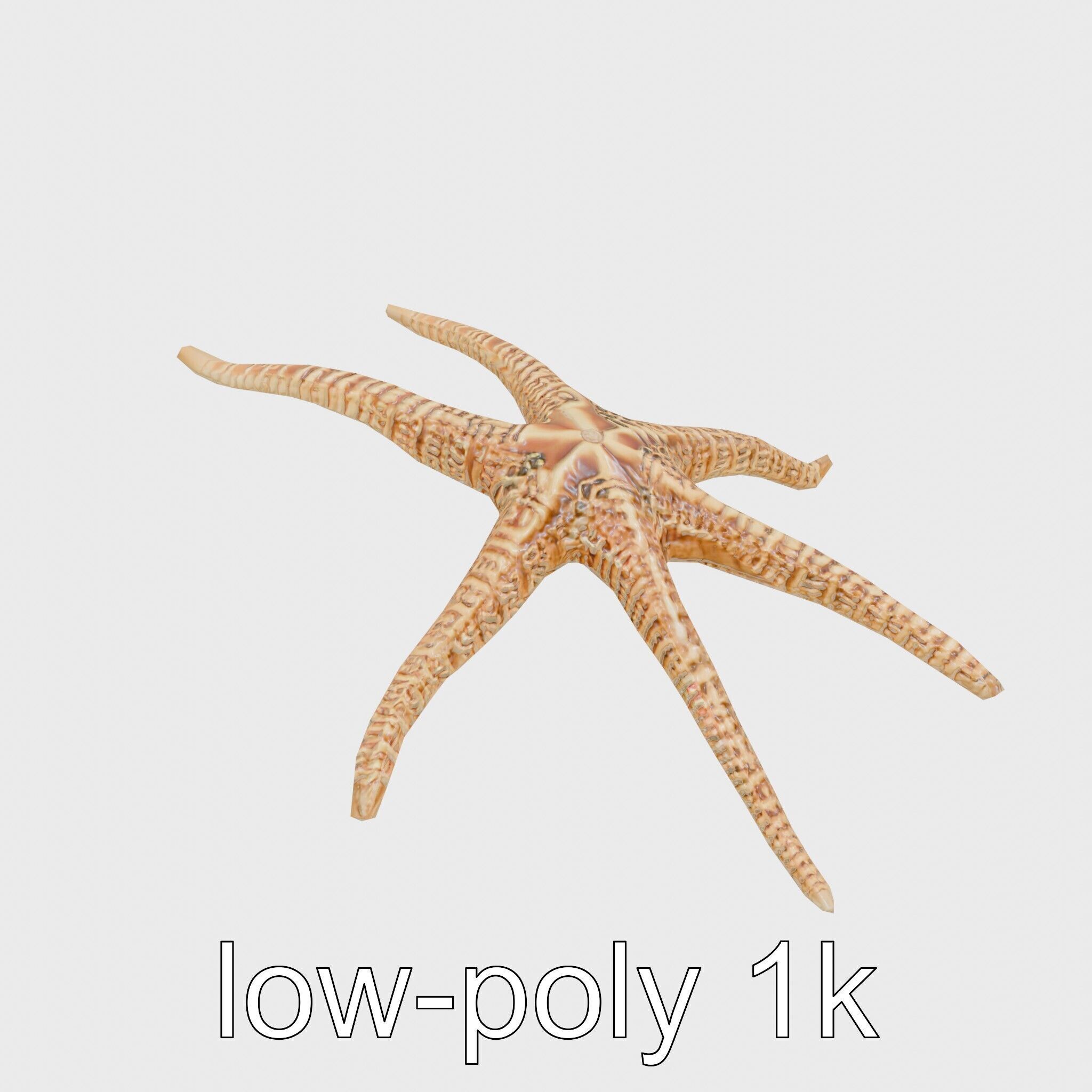 Basket Star with Complex Branching Arms Model Low-poly 3D model_10