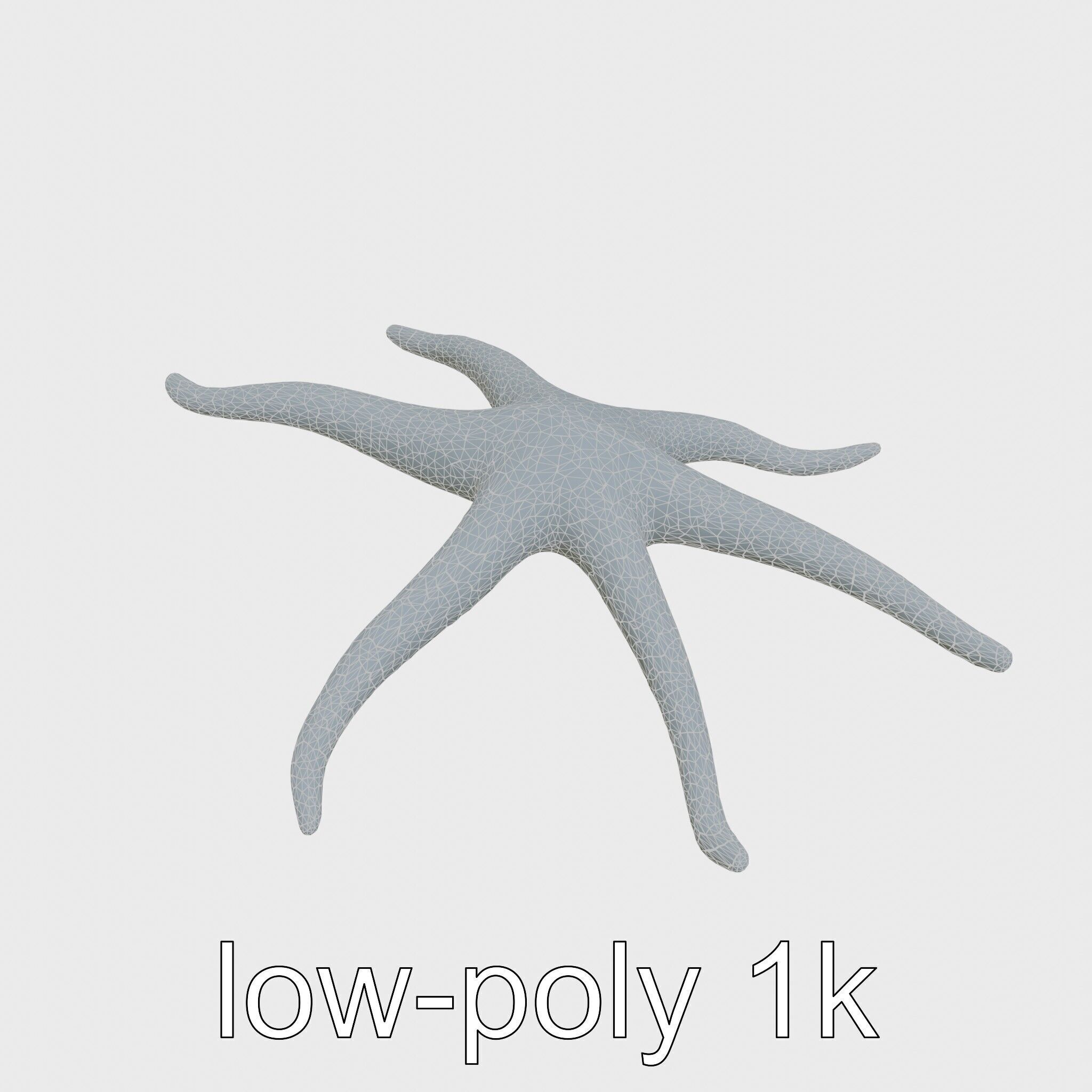 Basket Star with Complex Branching Arms Model Low-poly 3D model_29