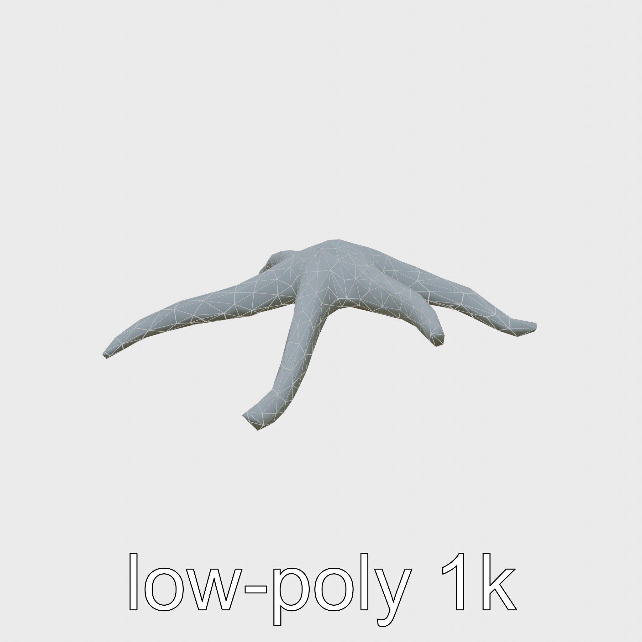 Basket Star with Complex Branching Arms Model Low-poly 3D model_12