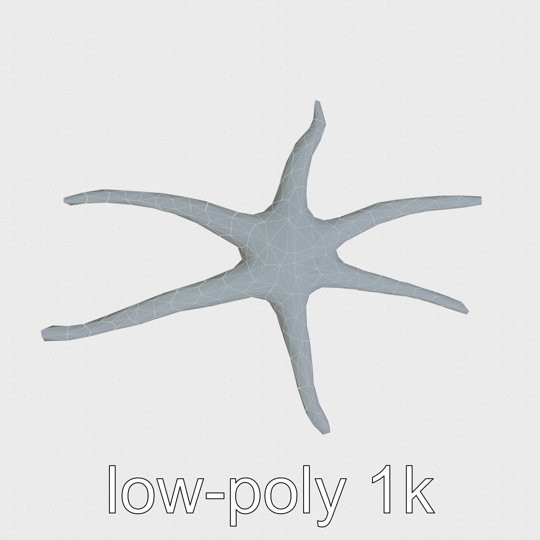 Basket Star with Complex Branching Arms Model Low-poly 3D model_25