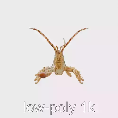 Weedy Seadragon Seaweed Camouflage Model