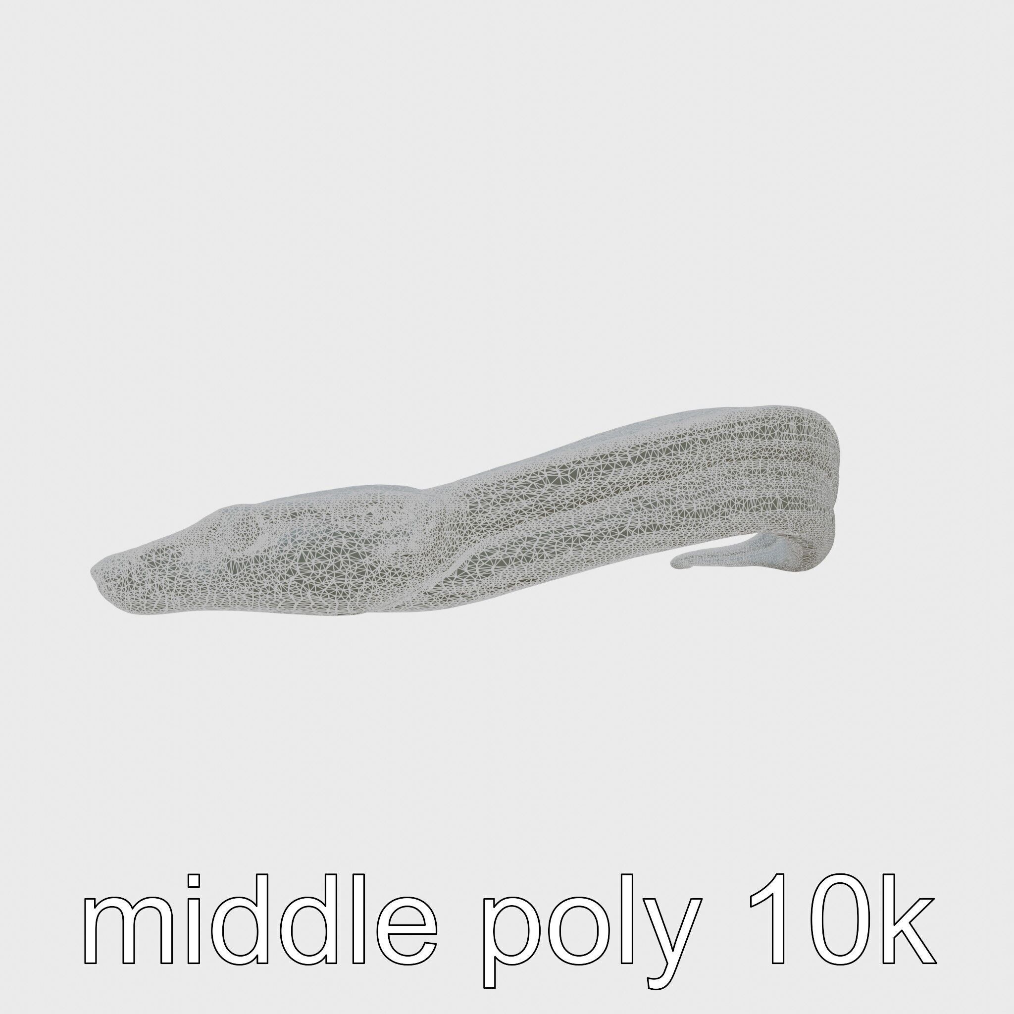 Sea Serpent with Elongated Body 3D Model Low-poly 3D model_30