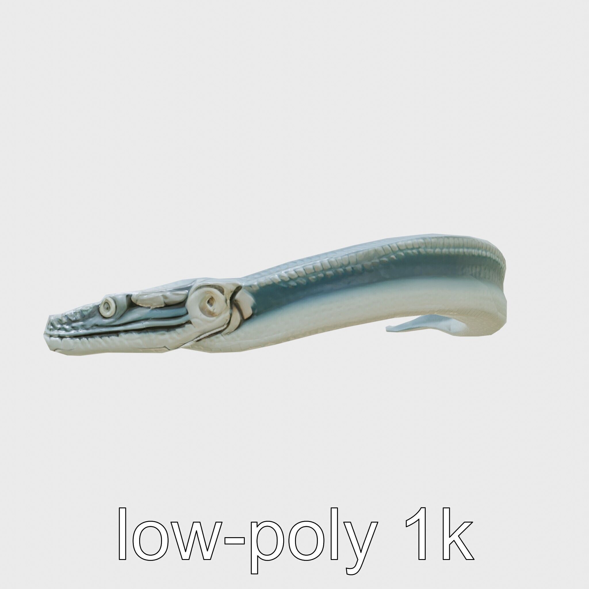 Sea Serpent with Elongated Body 3D Model Low-poly 3D model_20