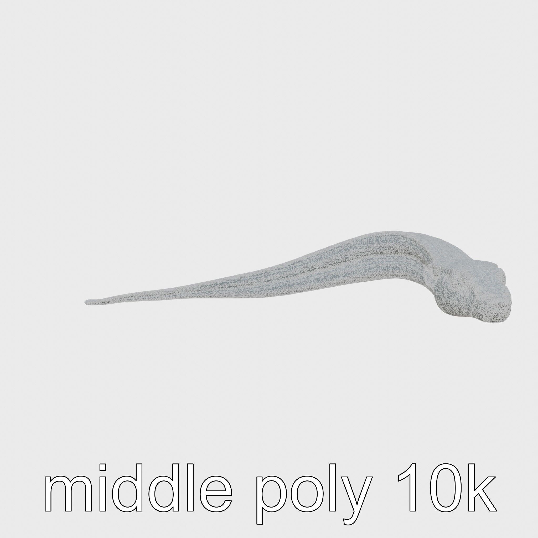 Sea Serpent with Elongated Body 3D Model Low-poly 3D model_5