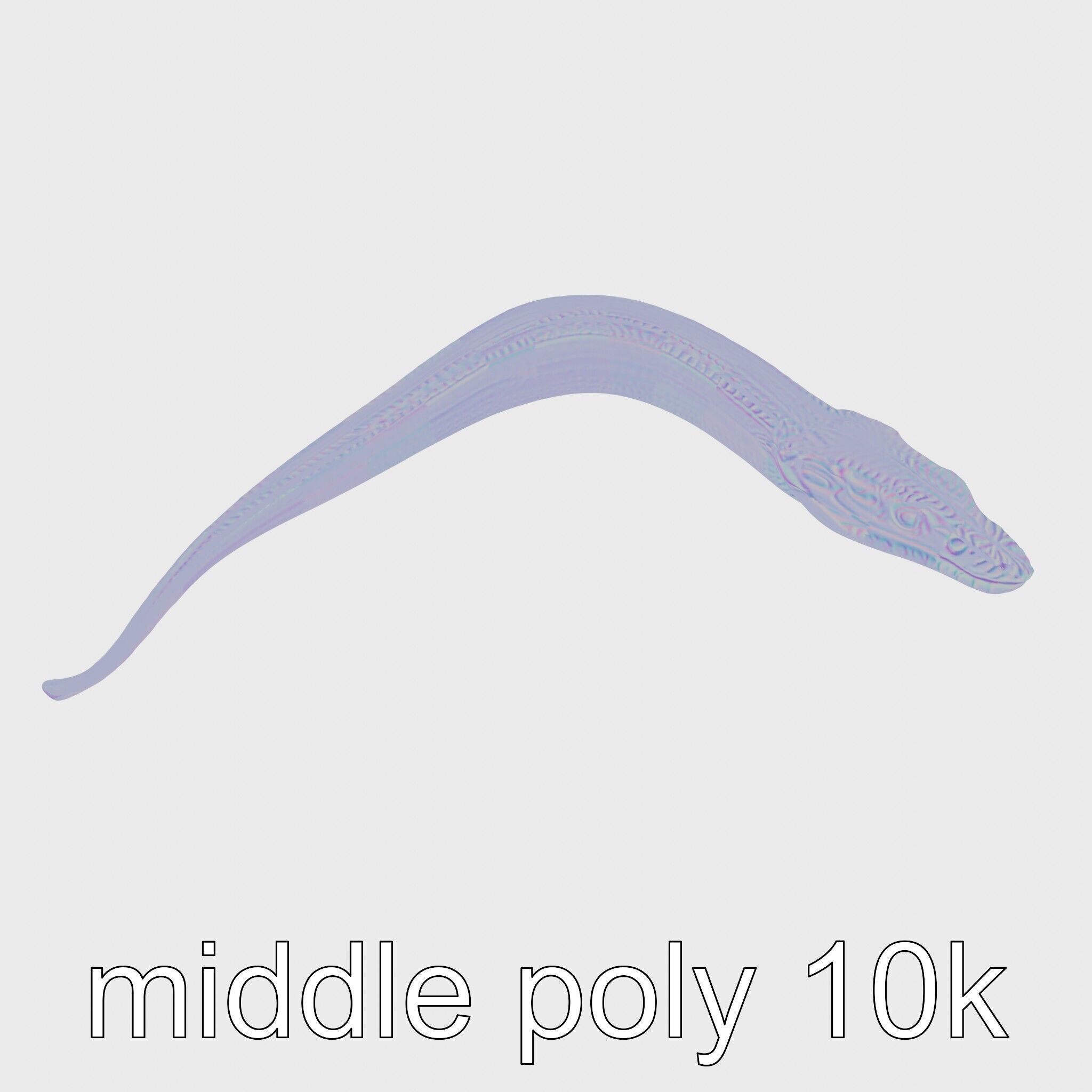 Sea Serpent with Elongated Body 3D Model Low-poly 3D model_26