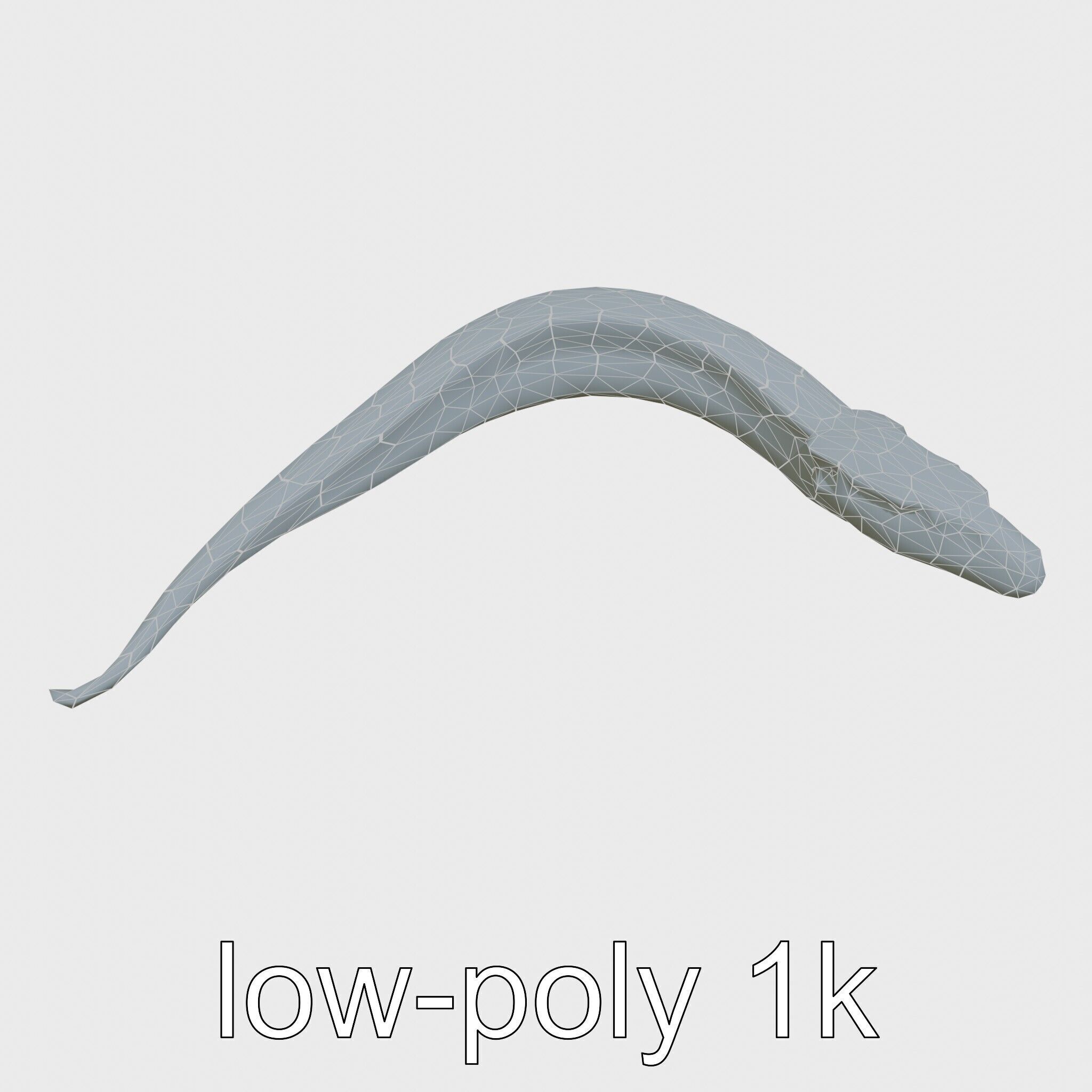 Sea Serpent with Elongated Body 3D Model Low-poly 3D model_13