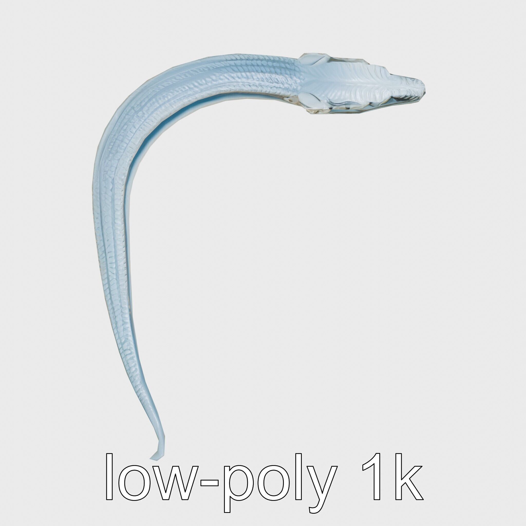 Sea Serpent with Elongated Body 3D Model Low-poly 3D model_10