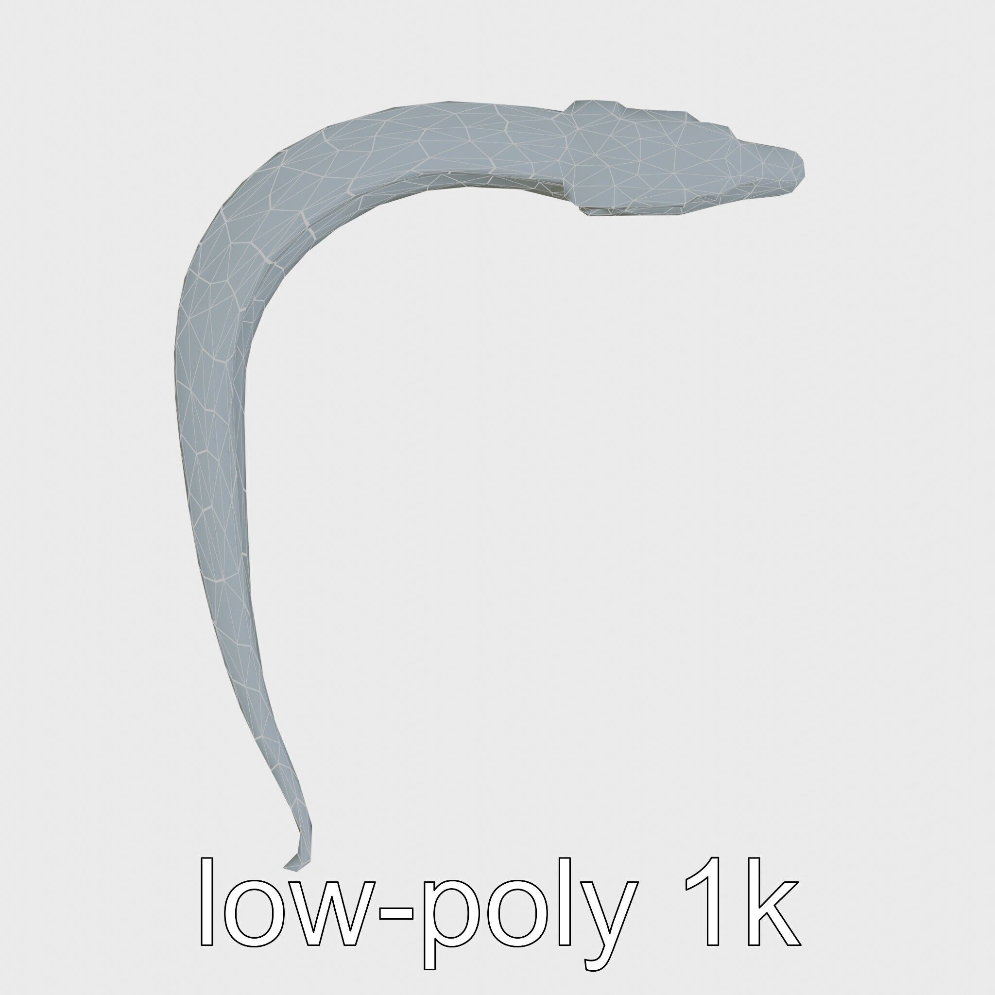 Sea Serpent with Elongated Body 3D Model Low-poly 3D model_17