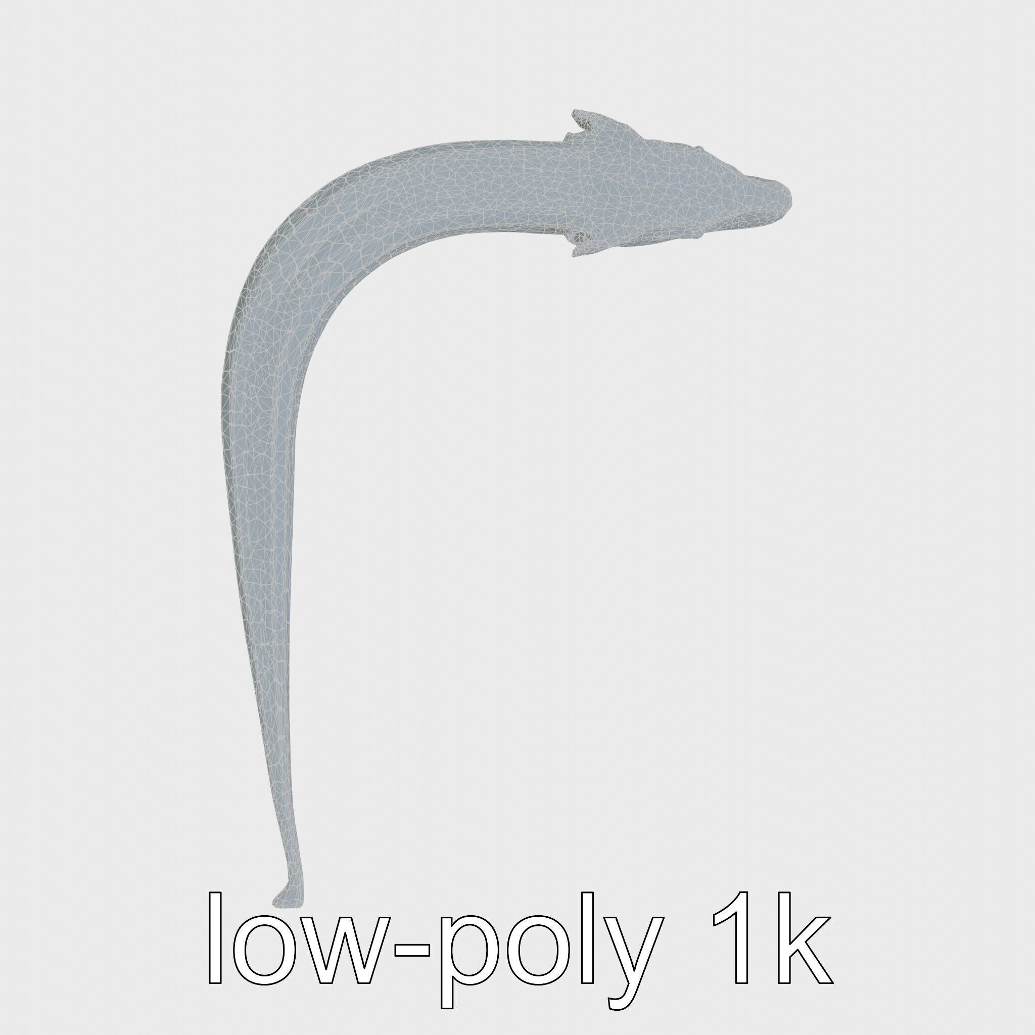 Sea Serpent with Elongated Body 3D Model Low-poly 3D model_14