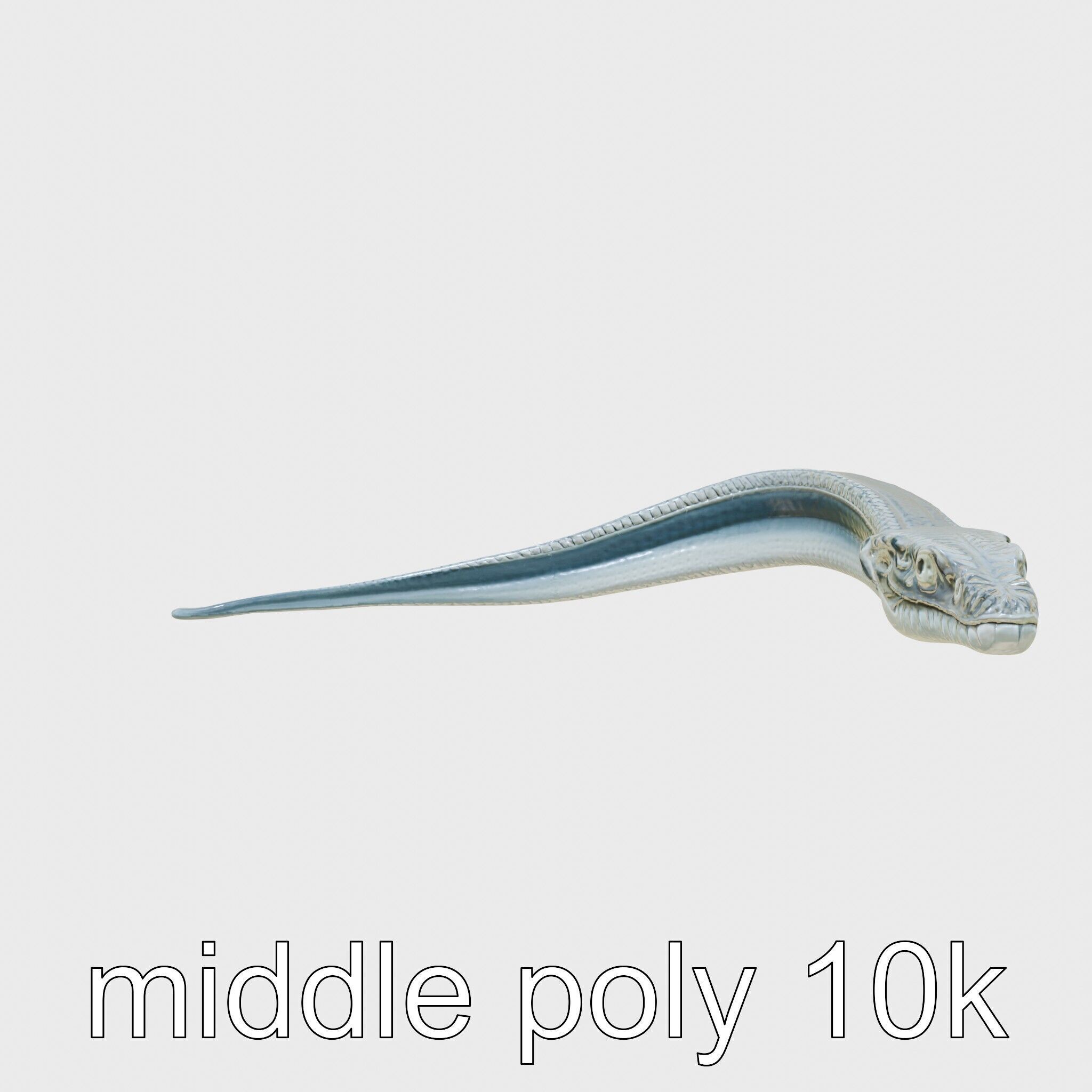 Sea Serpent with Elongated Body 3D Model Low-poly 3D model_2