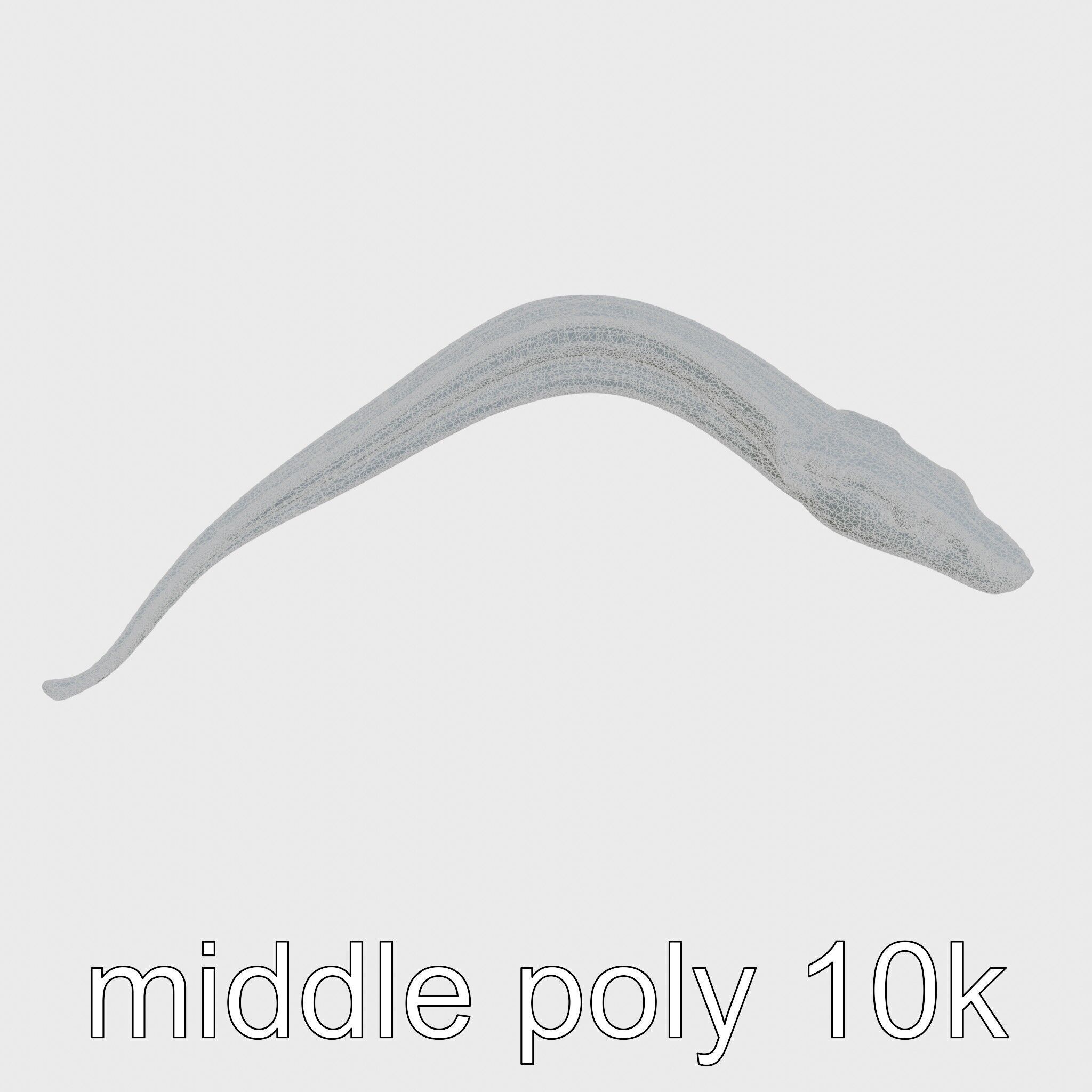 Sea Serpent with Elongated Body 3D Model Low-poly 3D model_27