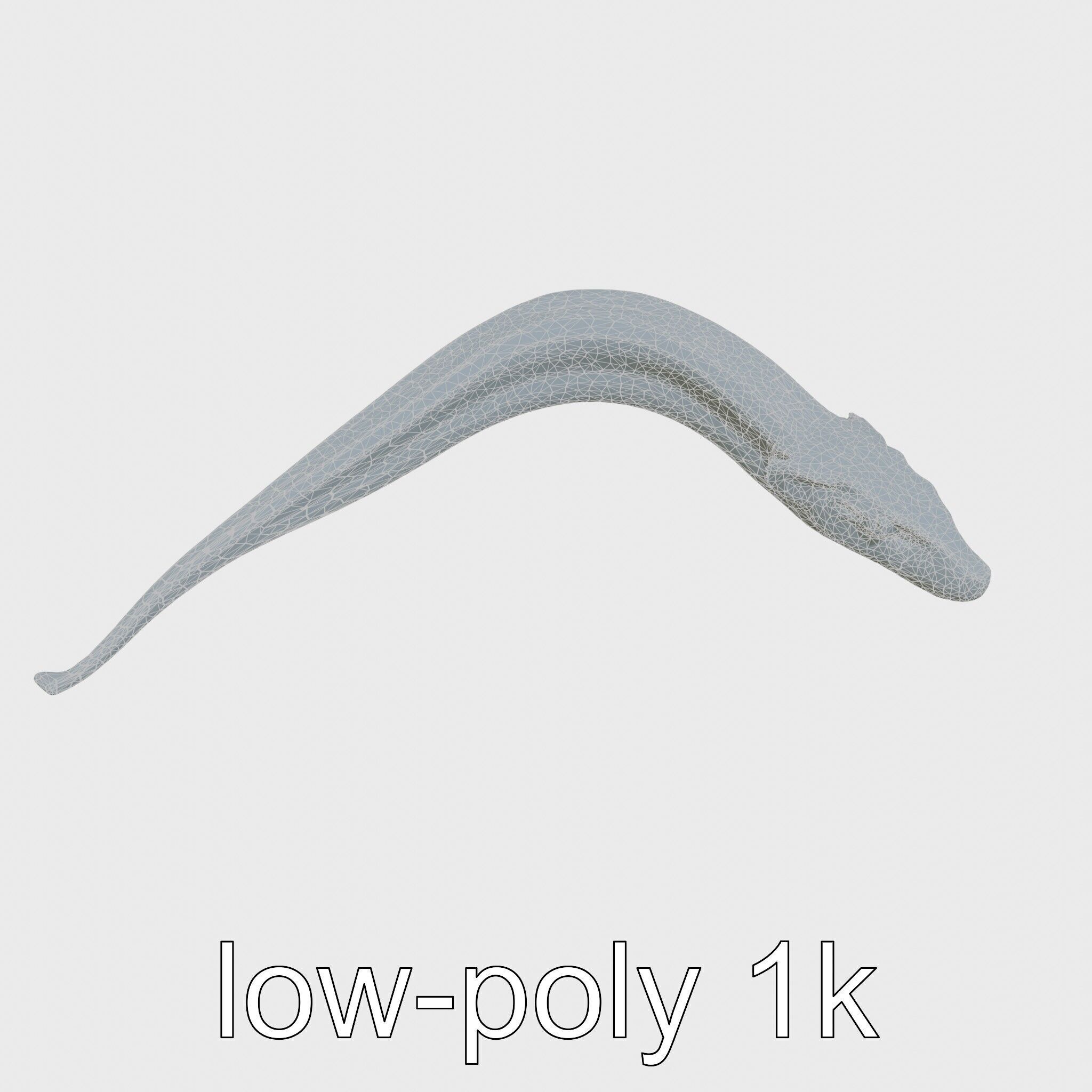 Sea Serpent with Elongated Body 3D Model Low-poly 3D model_24
