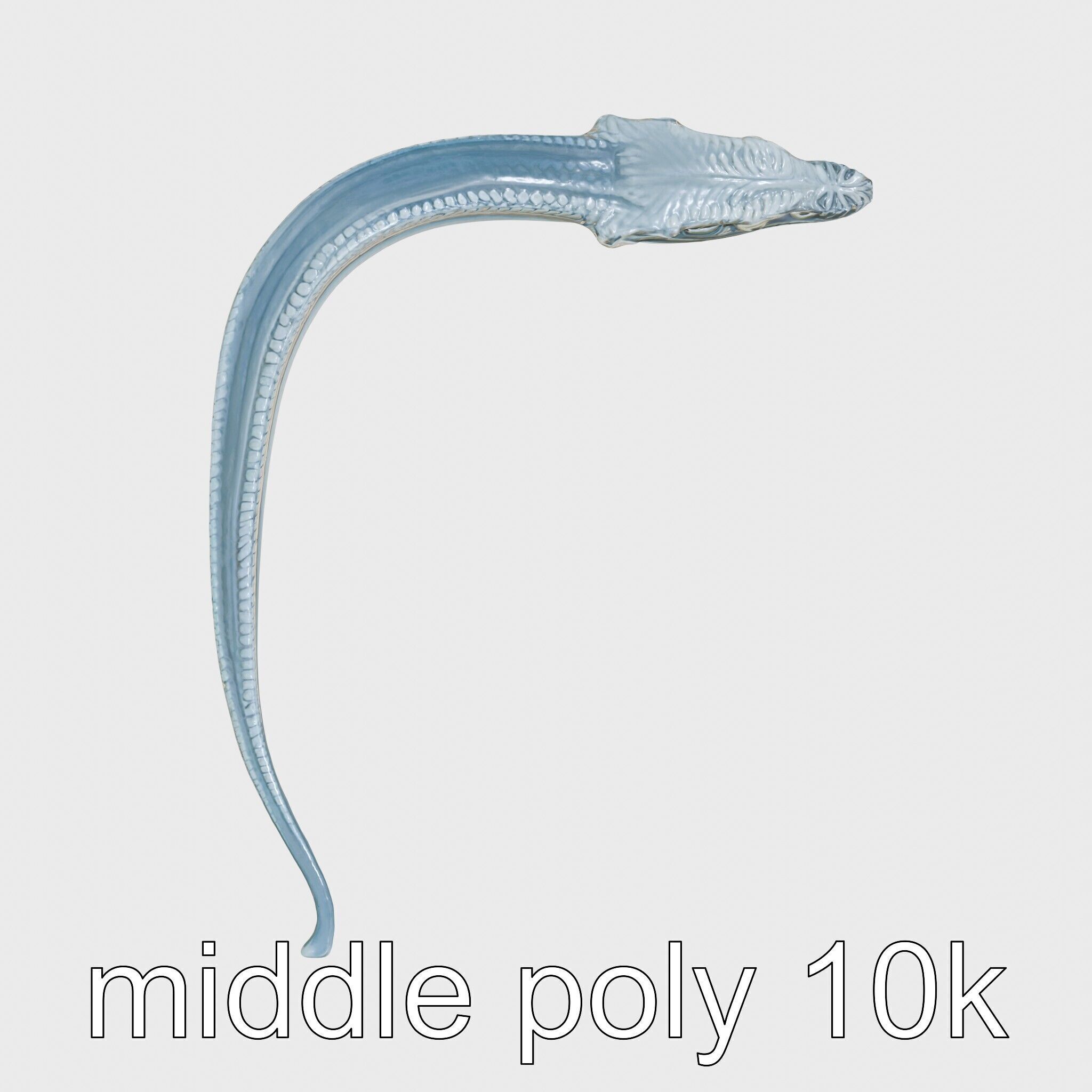Sea Serpent with Elongated Body 3D Model Low-poly 3D model_8