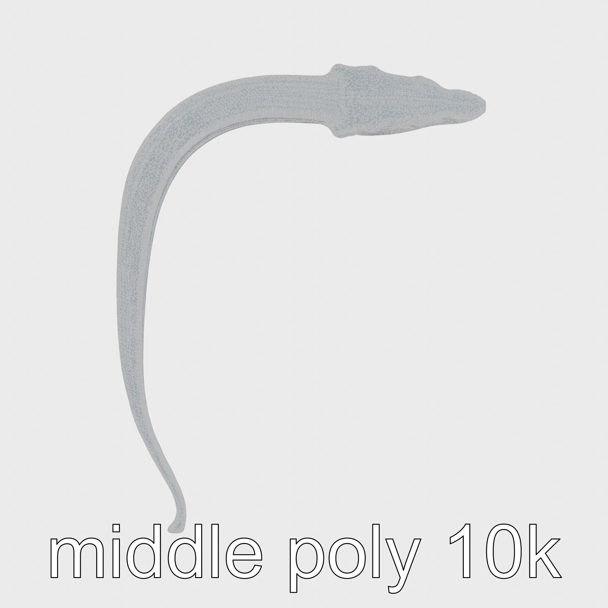 Sea Serpent with Elongated Body 3D Model Low-poly 3D model_12