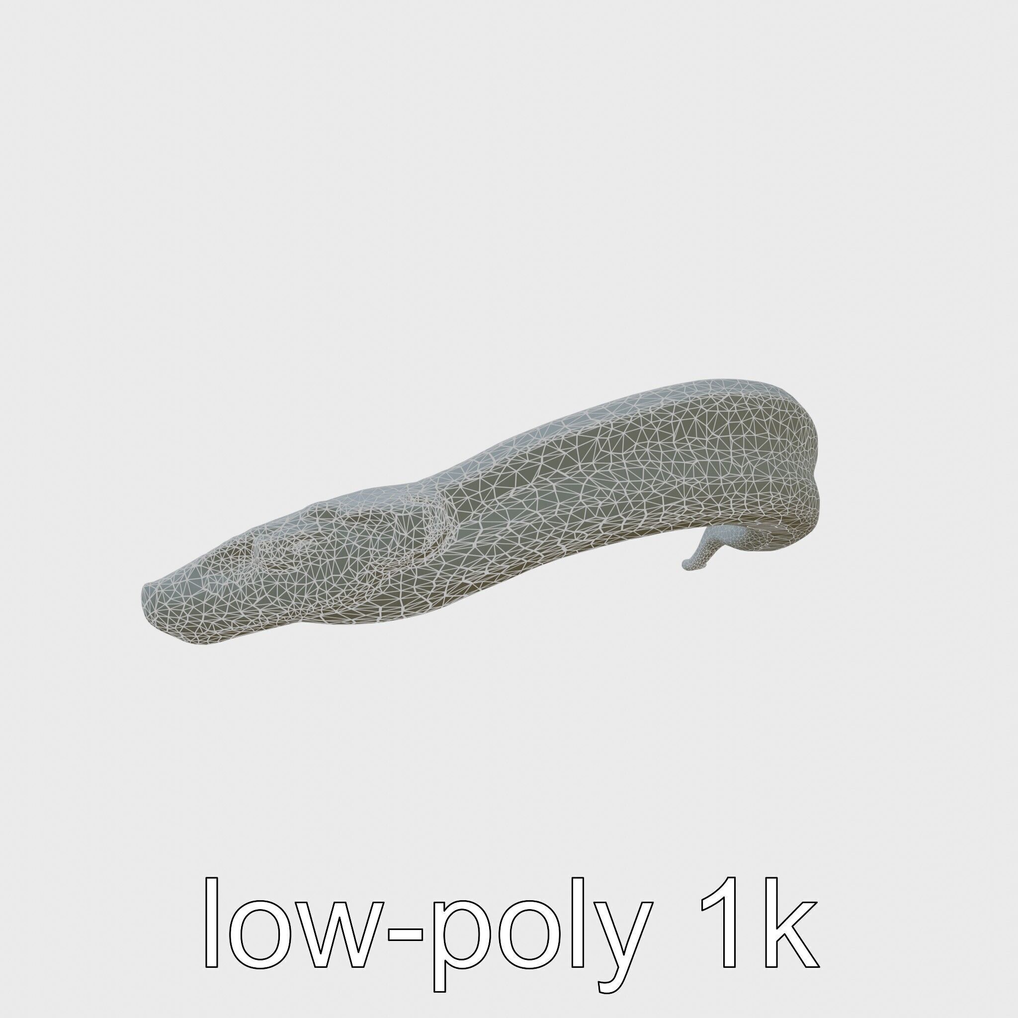 Sea Serpent with Elongated Body 3D Model Low-poly 3D model_6
